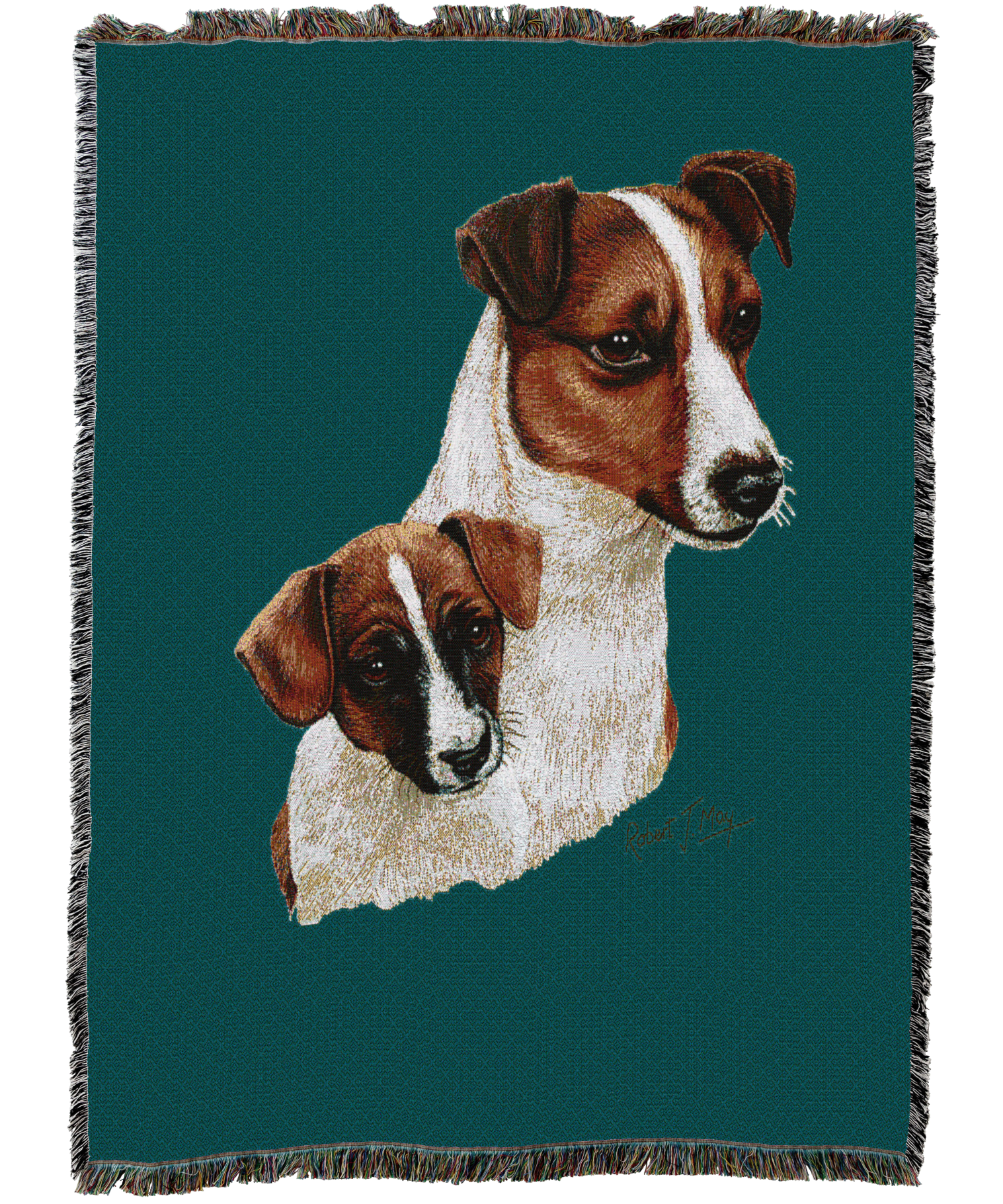 Jack Russell Terrier With Puppy Blanket