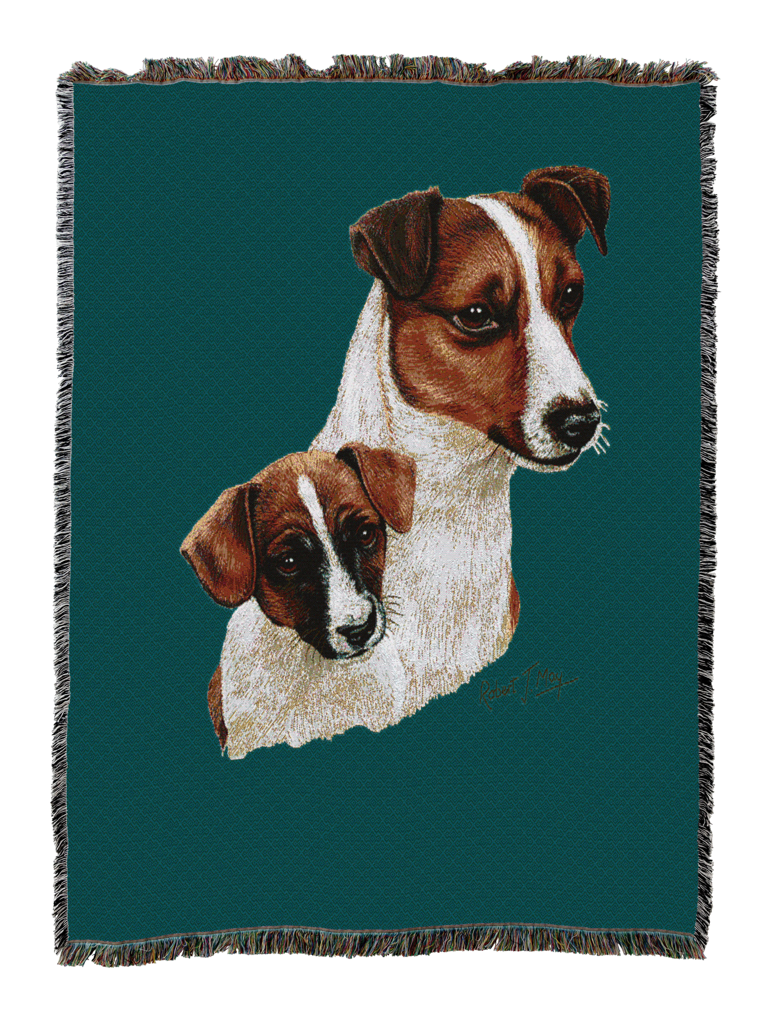 Jack Russell Terrier With Puppy Blanket