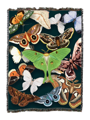 Moths On Emerald Blanket