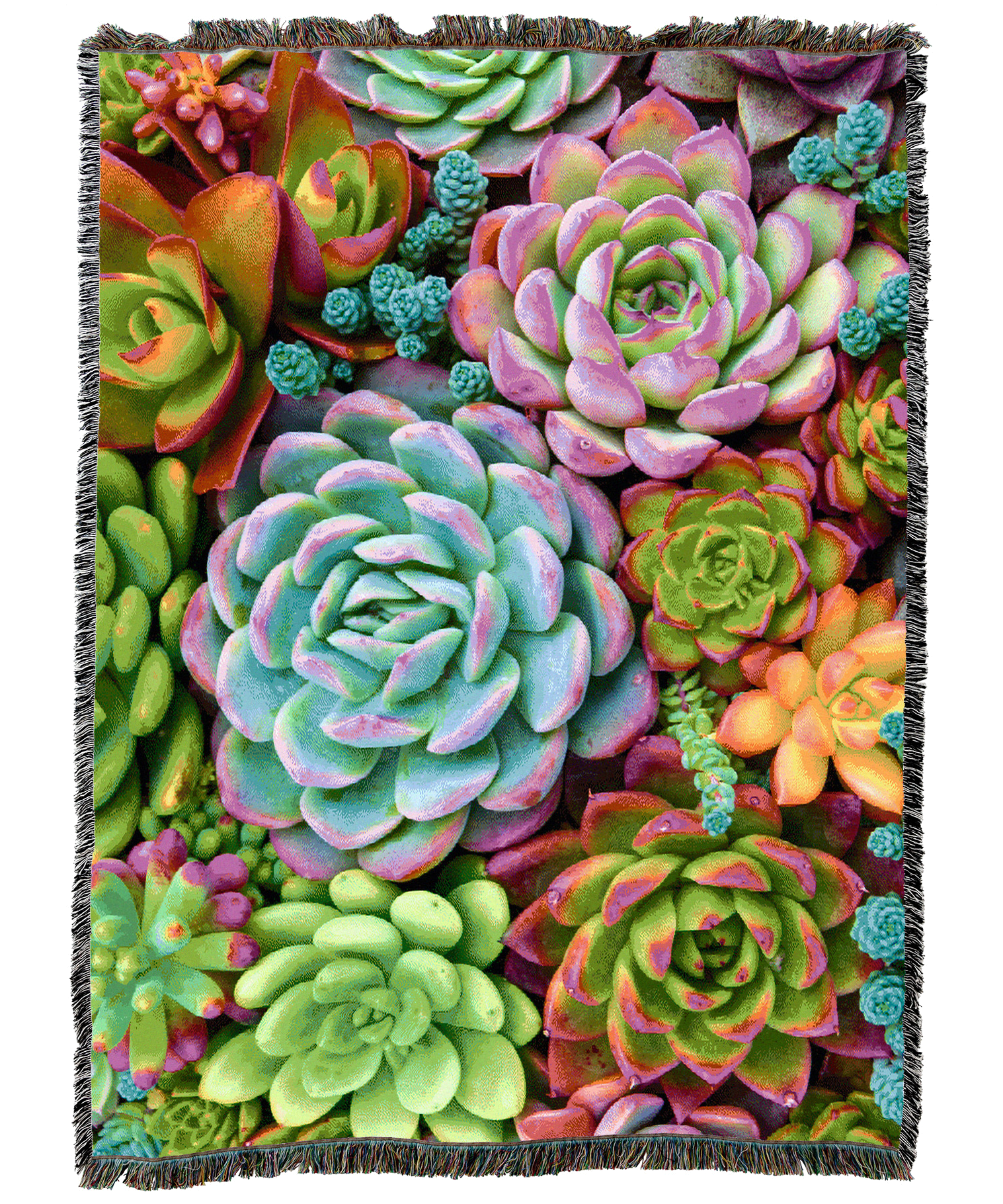 Bright Succulents Blanket