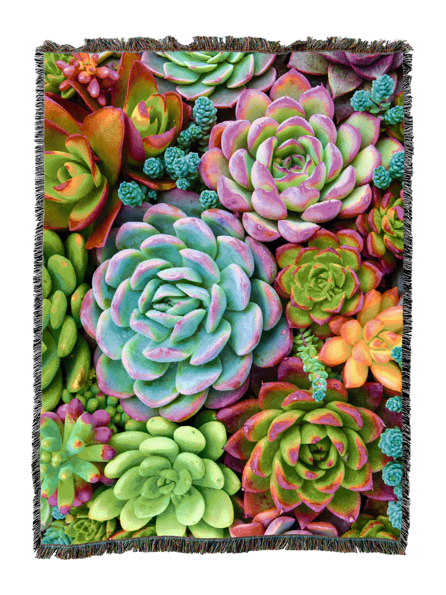 Bright Succulents Blanket