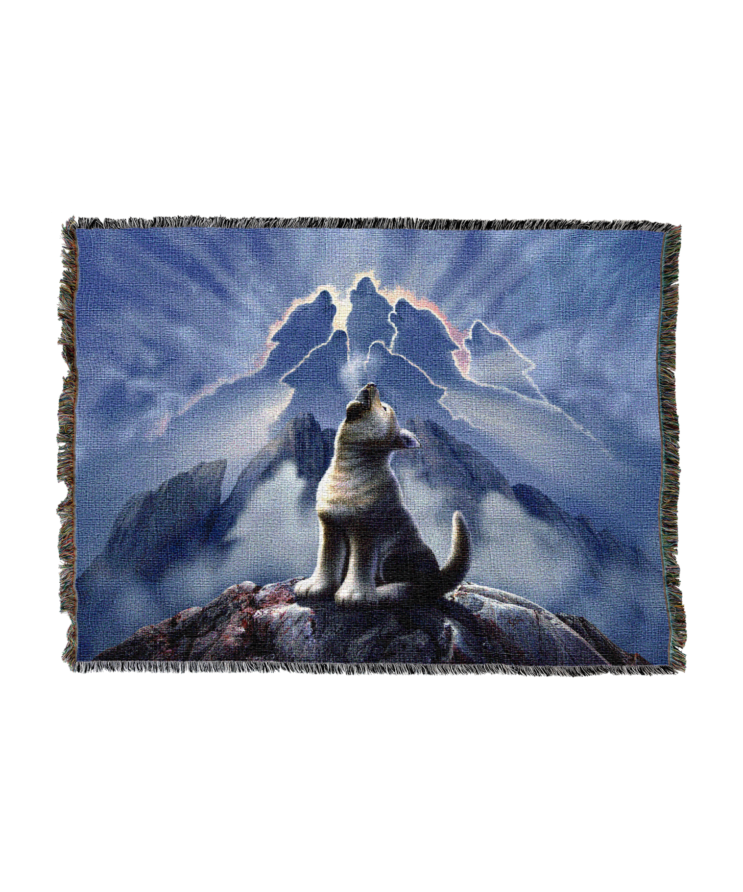 13123-T.png