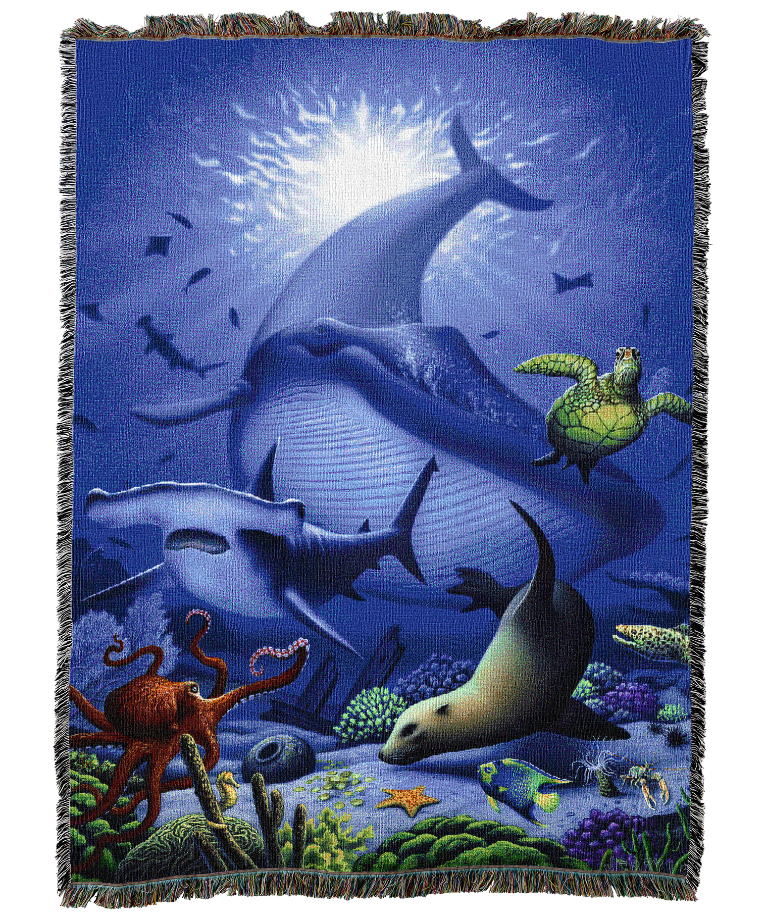 13127-T_62a9e512-00b0-47e5-9294-0a45ae514e2f.png