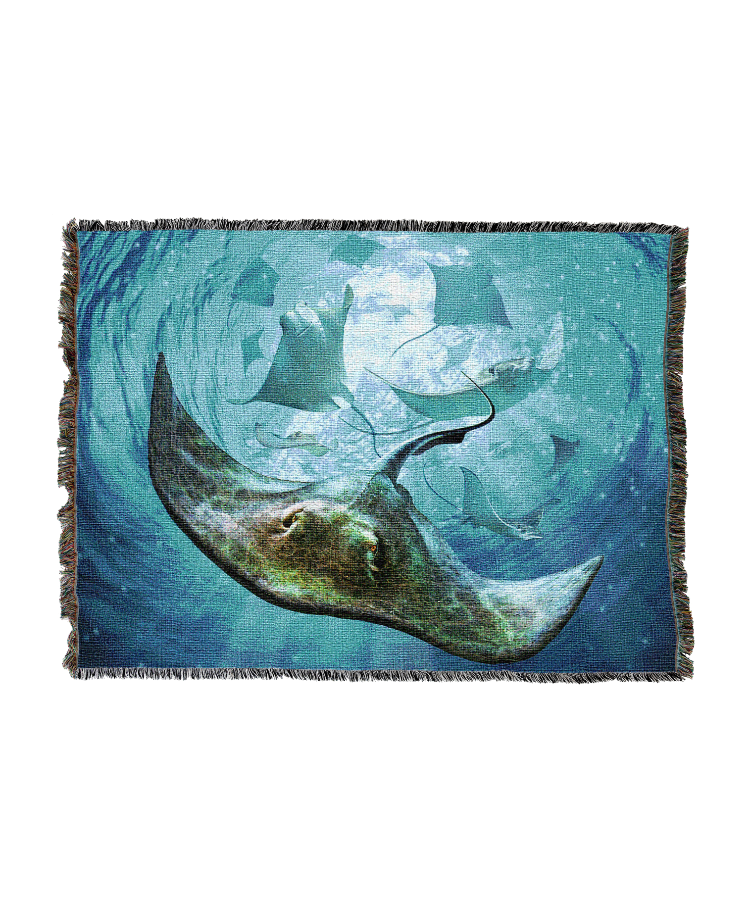 Sting Rays 1 Blanket