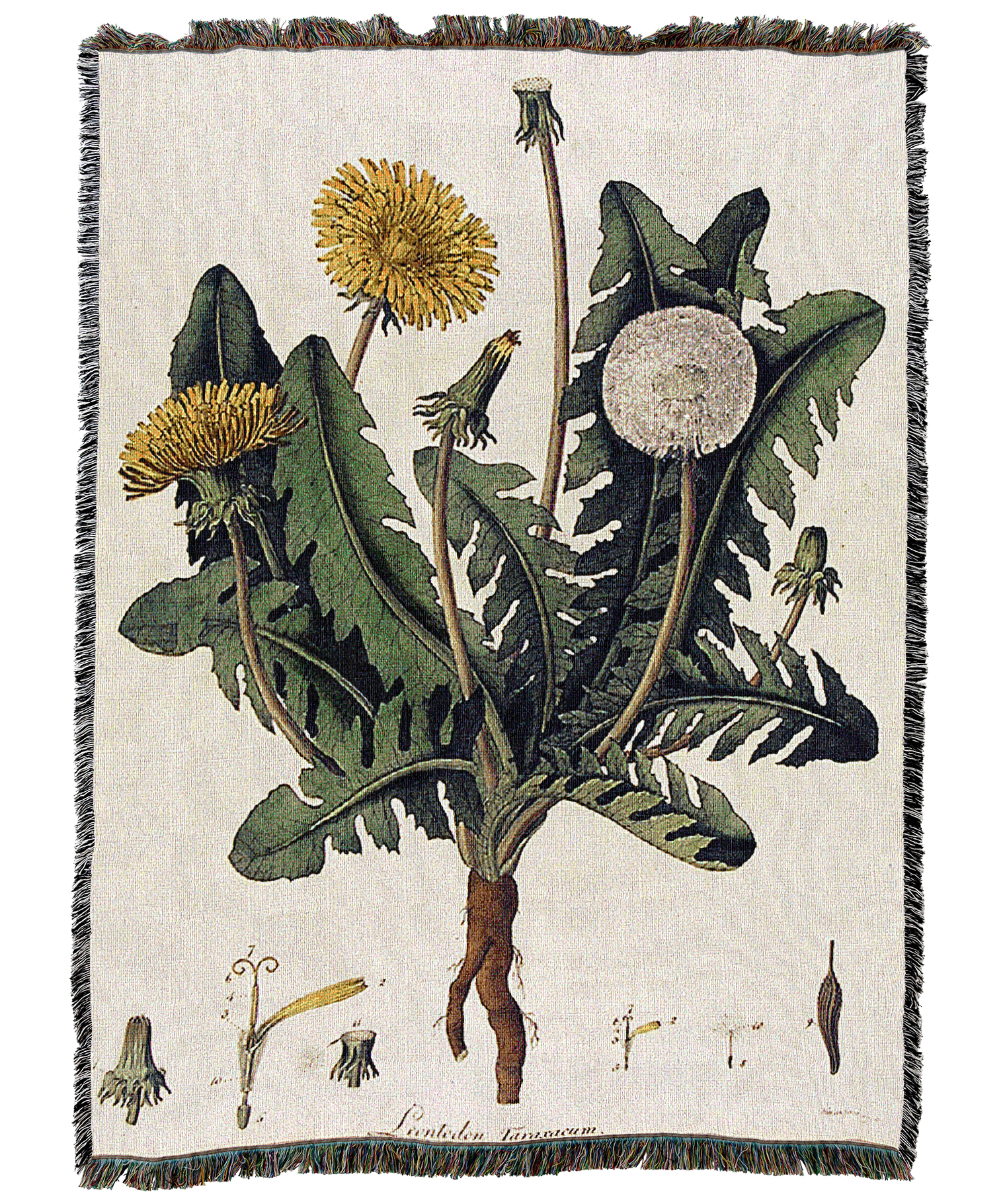 Dandelion Diagram Blanket by William Kilburn