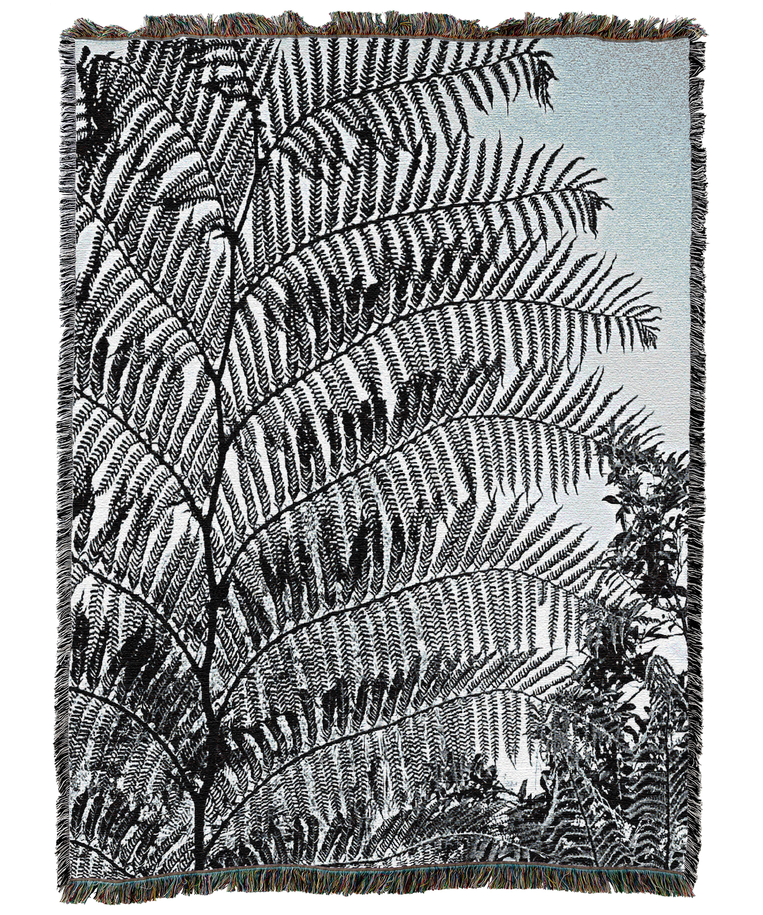 Tree Fern Silhouette Blanket