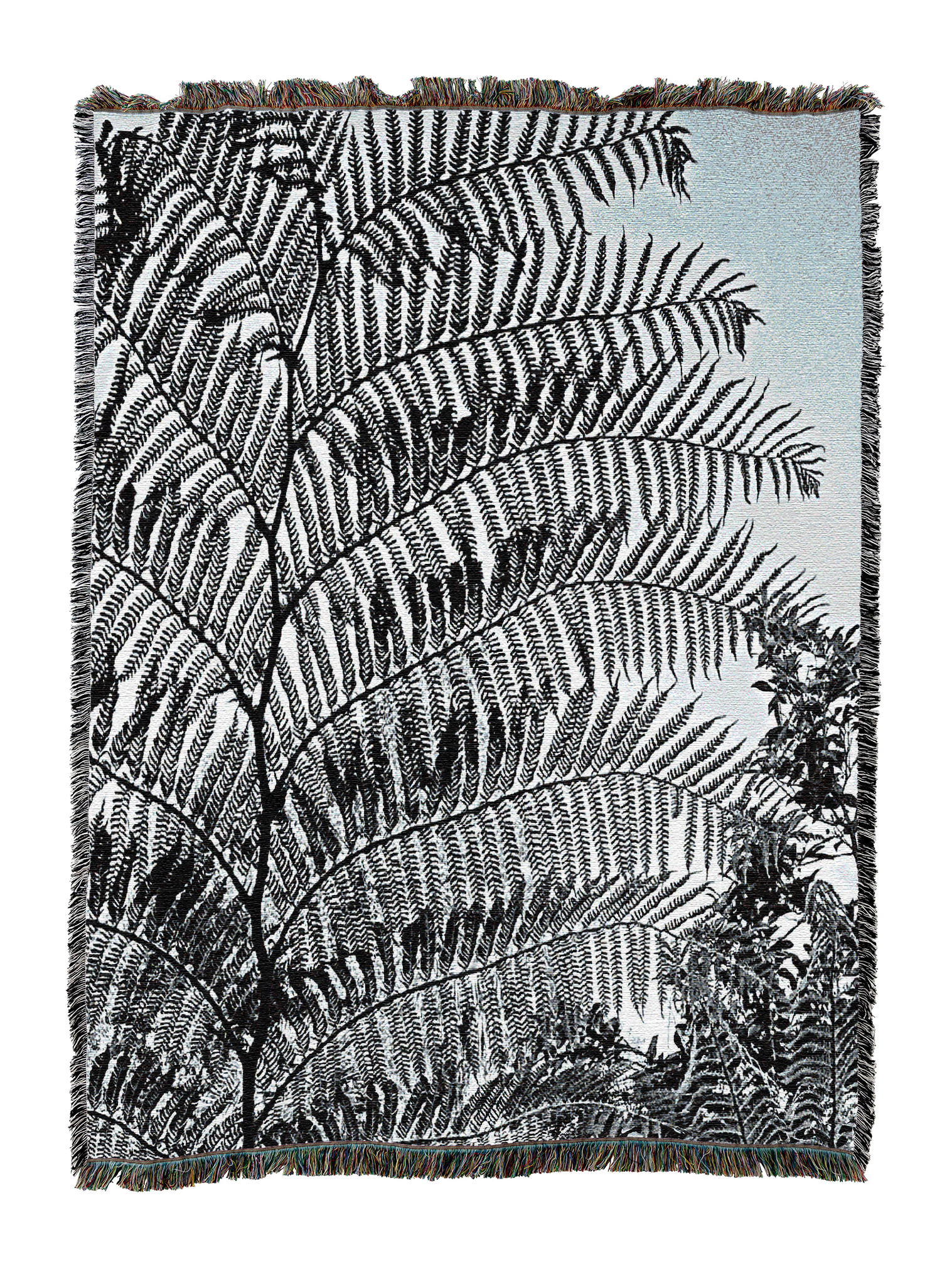 Tree Fern Silhouette Blanket