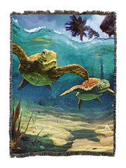 Turtles Blanket B