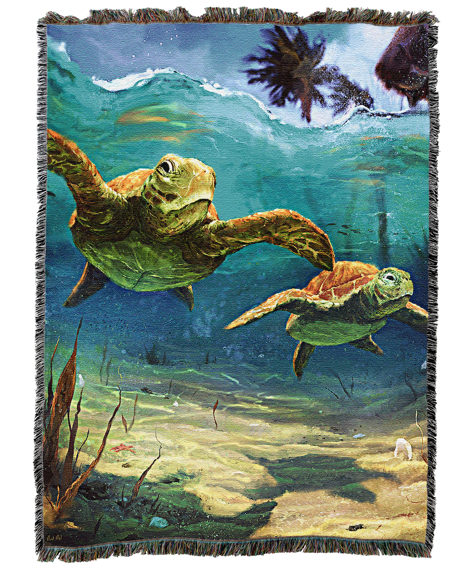 Turtles Blanket