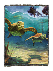 Turtles Blanket B