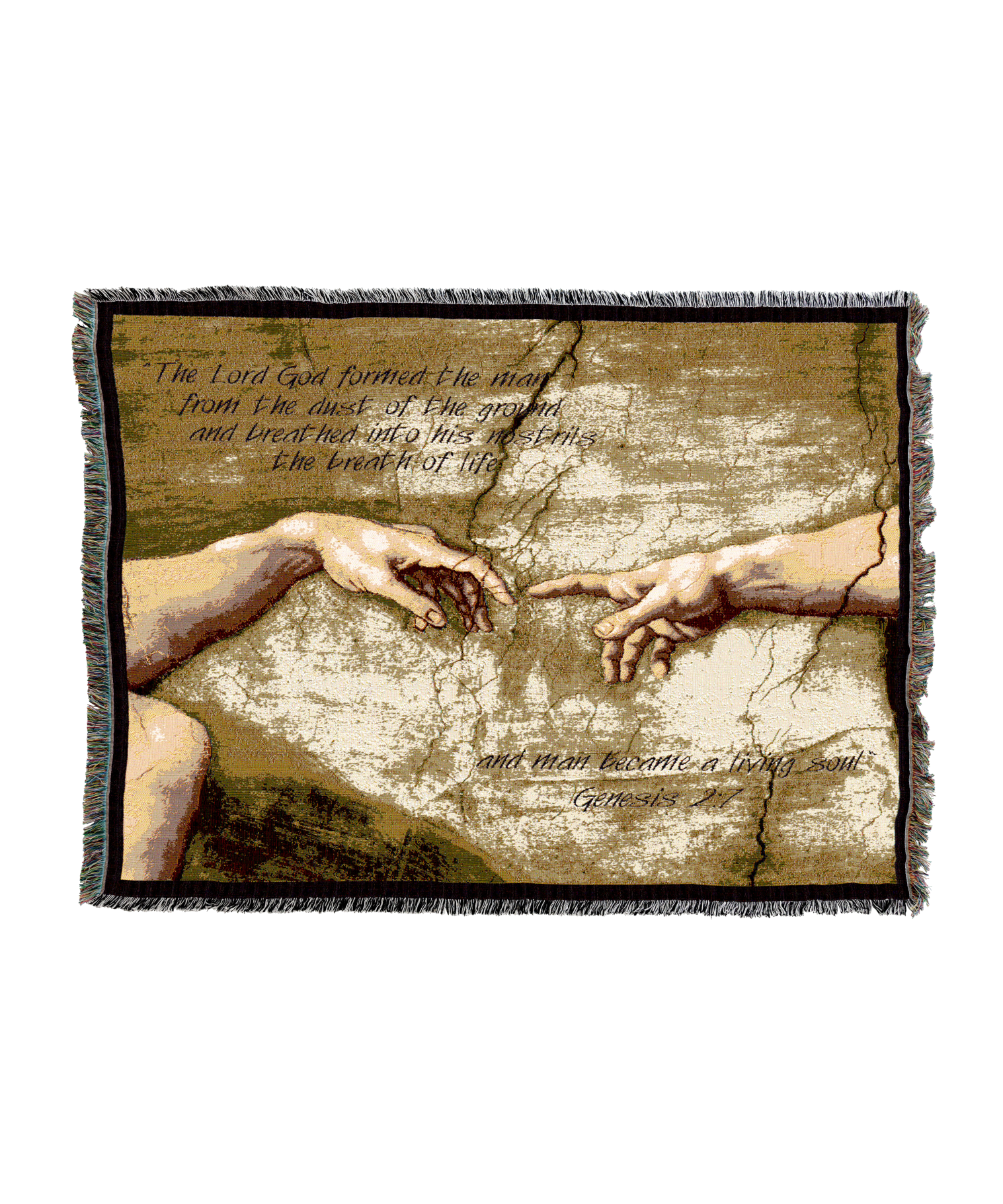 1343-T_d24ff765-ce79-4193-9c72-e6b30eaa6517.png