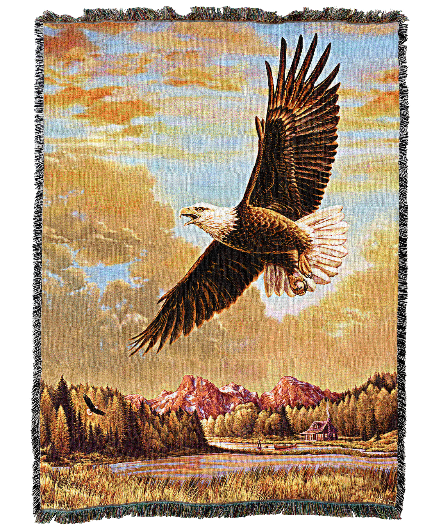 13637-T_d63c5e9e-d6ba-4853-9a54-2efa2eac9f3a.png