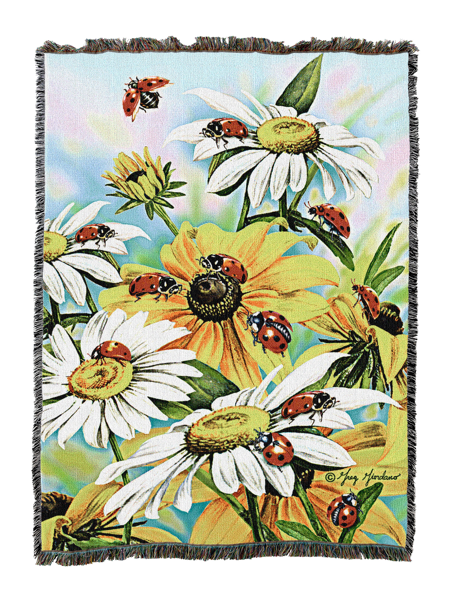 Ladybug And Daisies Blanket