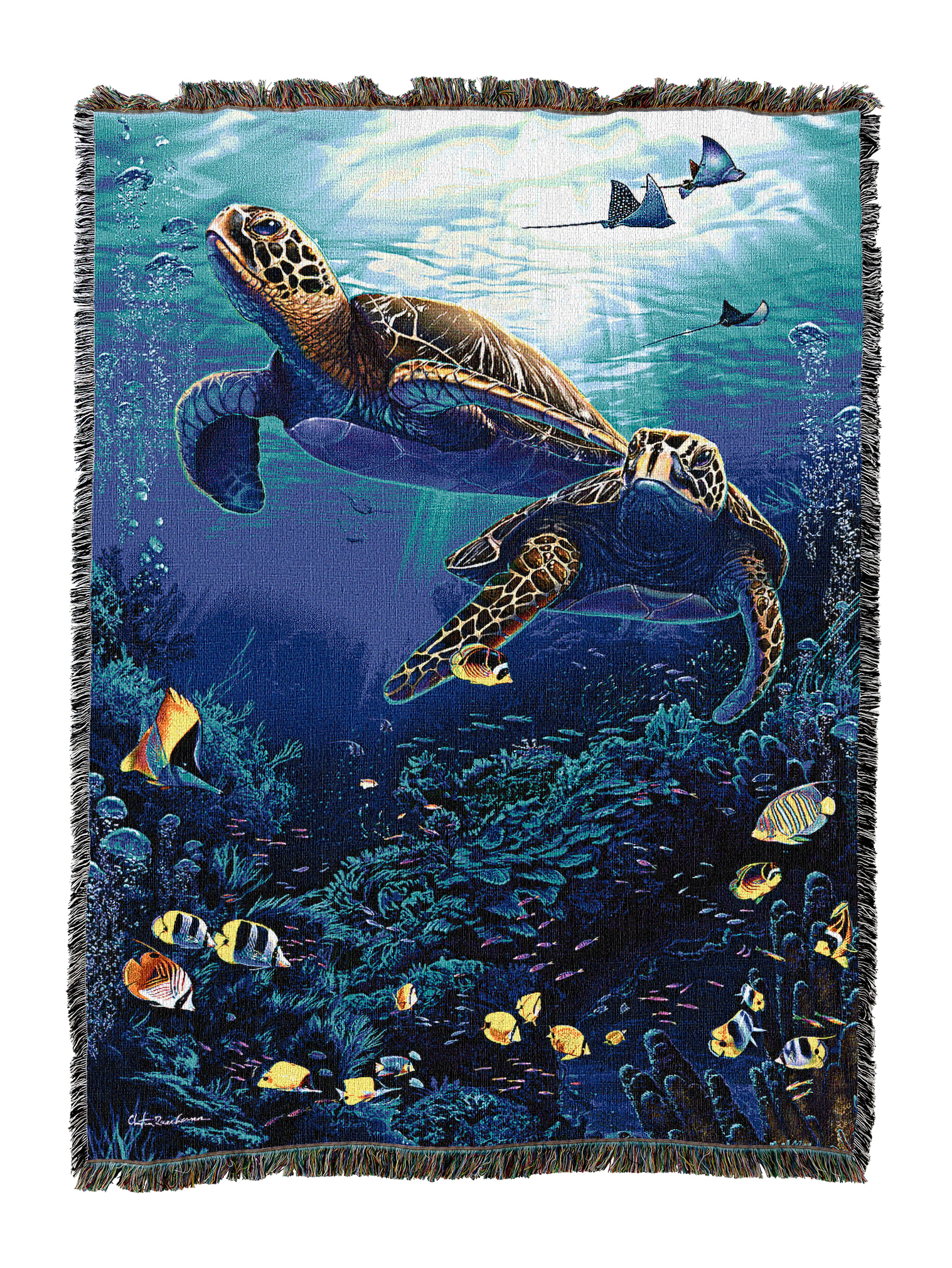 Turtle Trails Blanket
