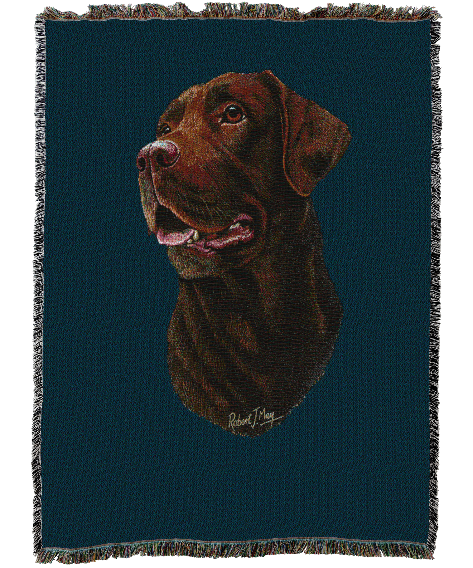 1428C-T_0f383043-3e1d-4324-a1a0-9aa57819d5e5.png