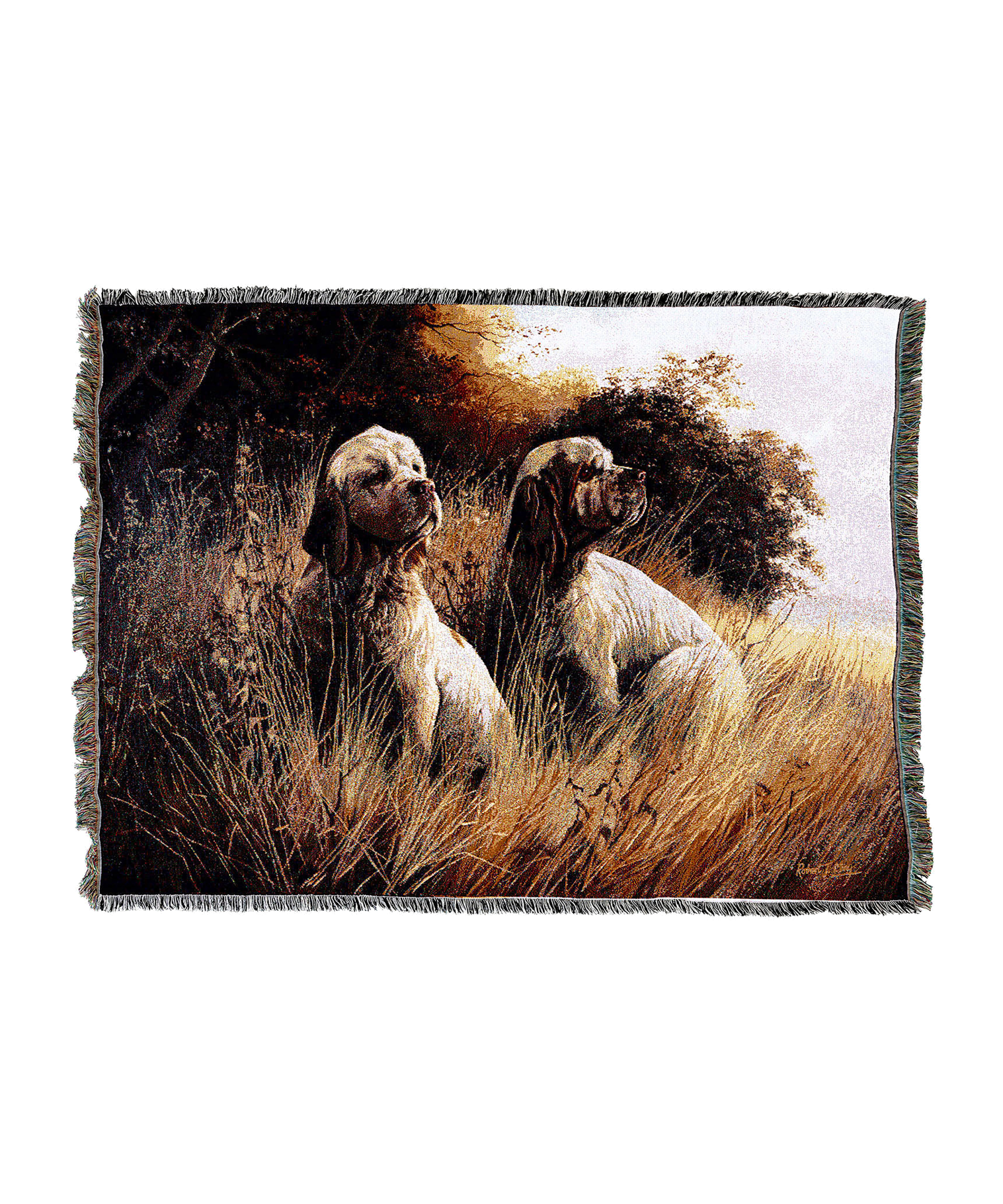 1441-T_312cedfc-62ad-4f79-9769-134d8fb7291e.png