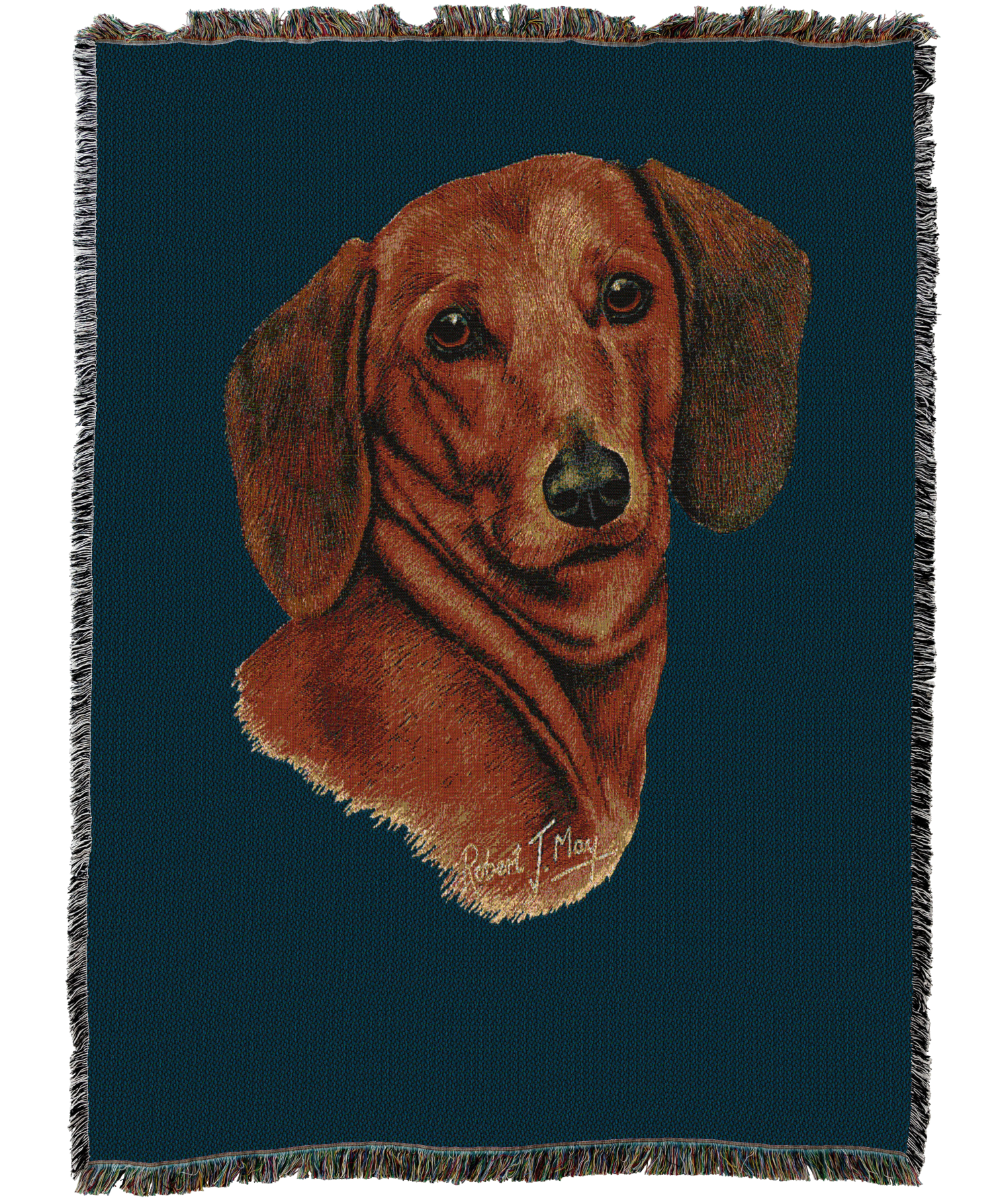 1445C-T_81747e87-6a2d-4a03-b0fe-98492aebae03.png