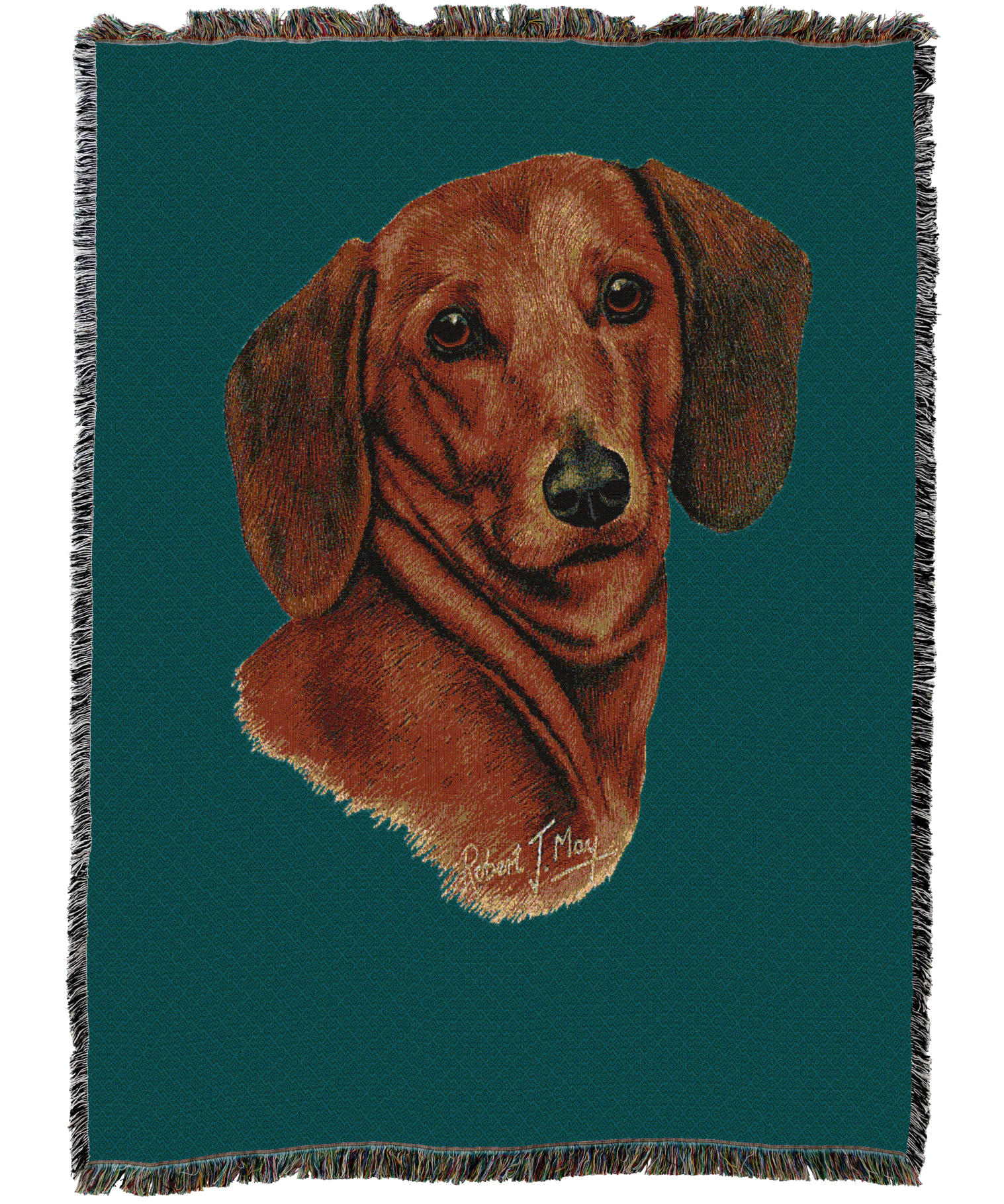 Dachshund Red Blanket  Teal