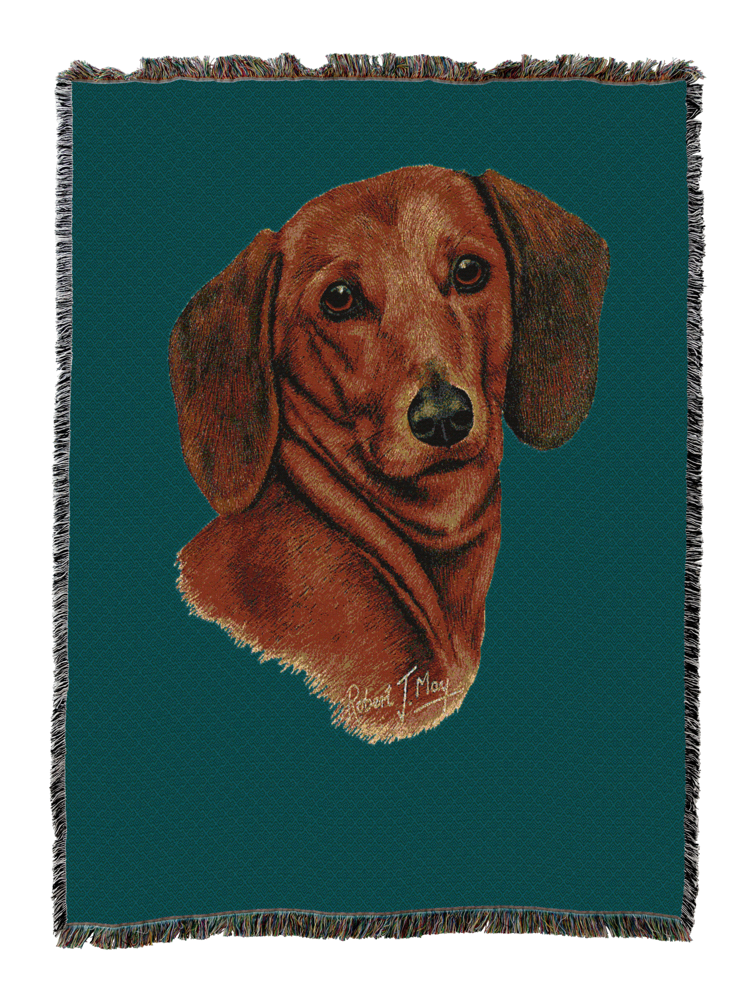Dachshund Red Blanket  Teal