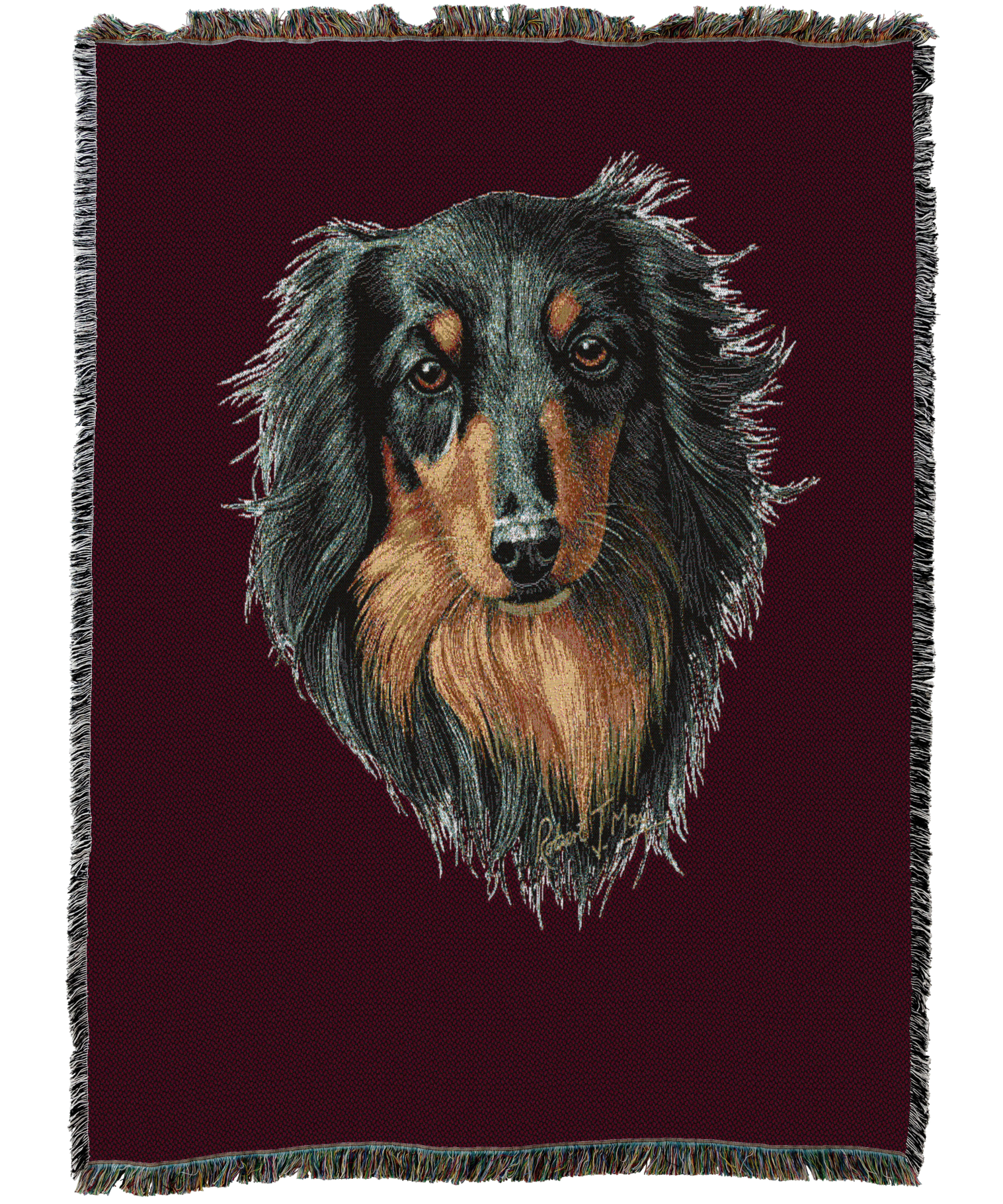 Long-Haired Dachshund Black And Tan Blanket