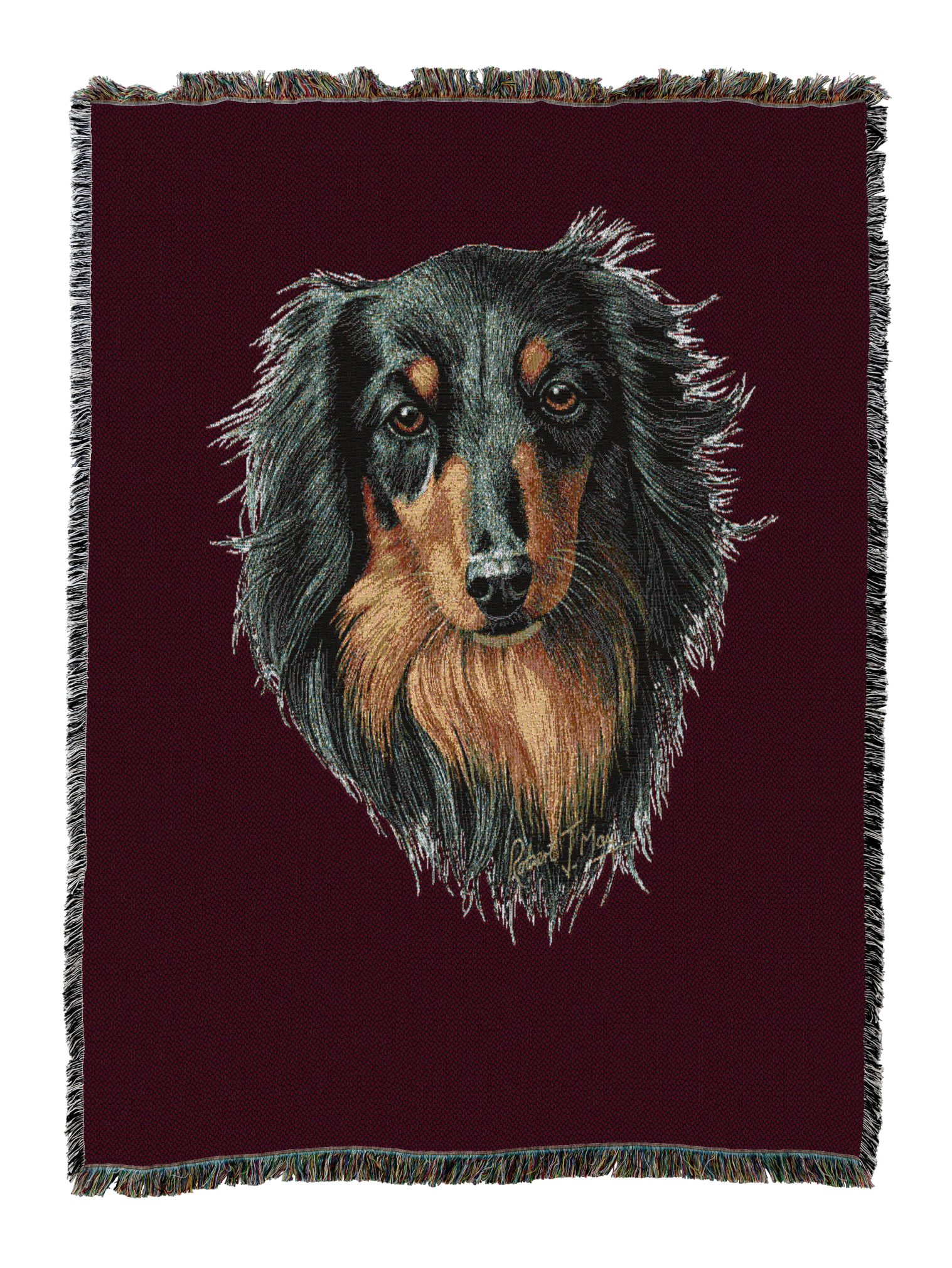 Long-Haired Dachshund Black And Tan Blanket