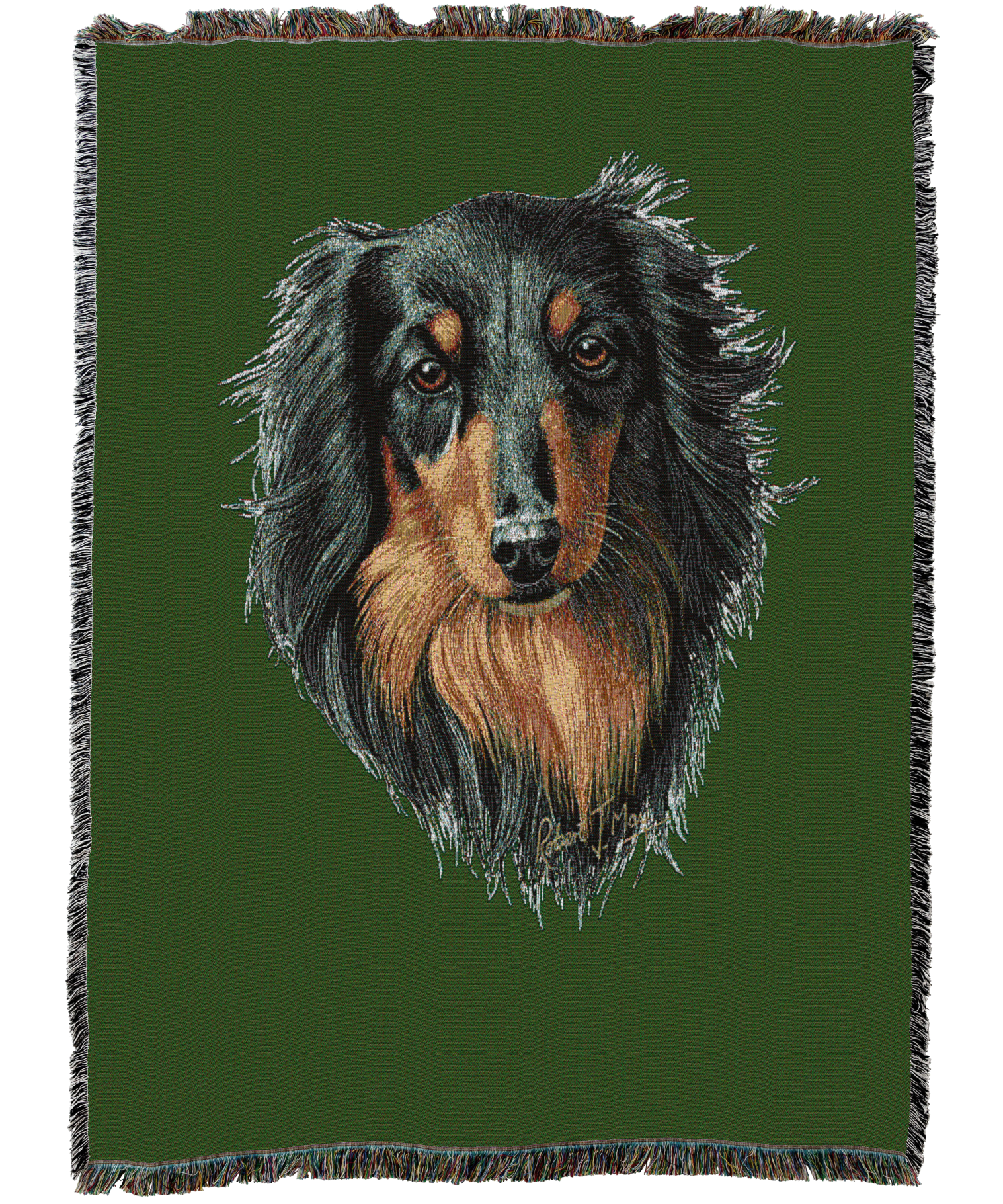 Long-haired Dachshund Black and Tan Blanket Green