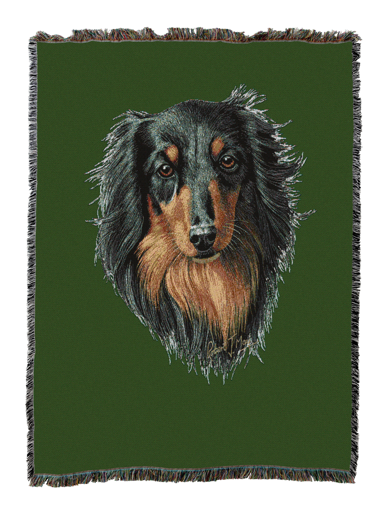 Long-haired Dachshund Black and Tan Blanket Green