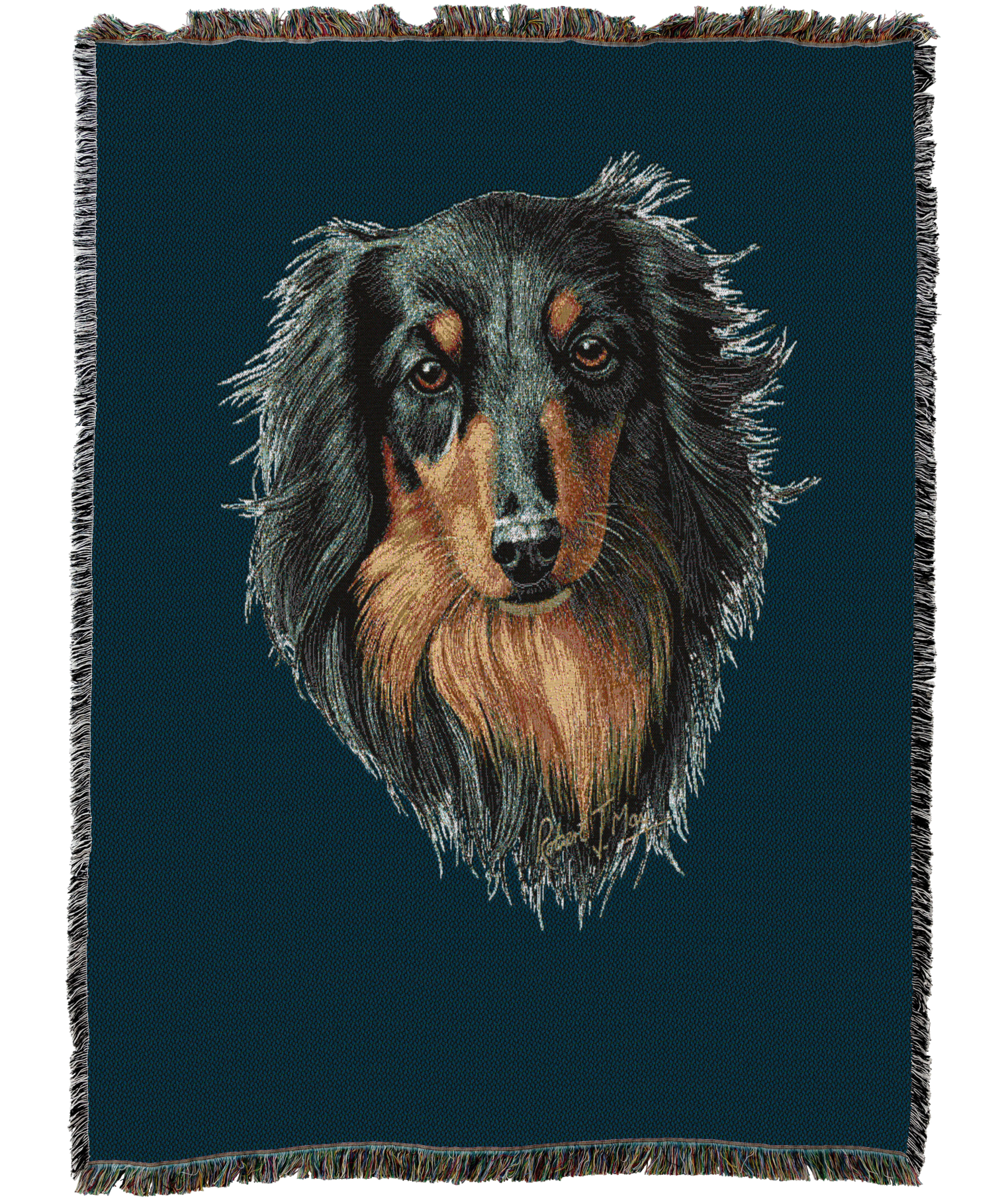 Long-haired Dachshund Black and Tan Blanket Blue