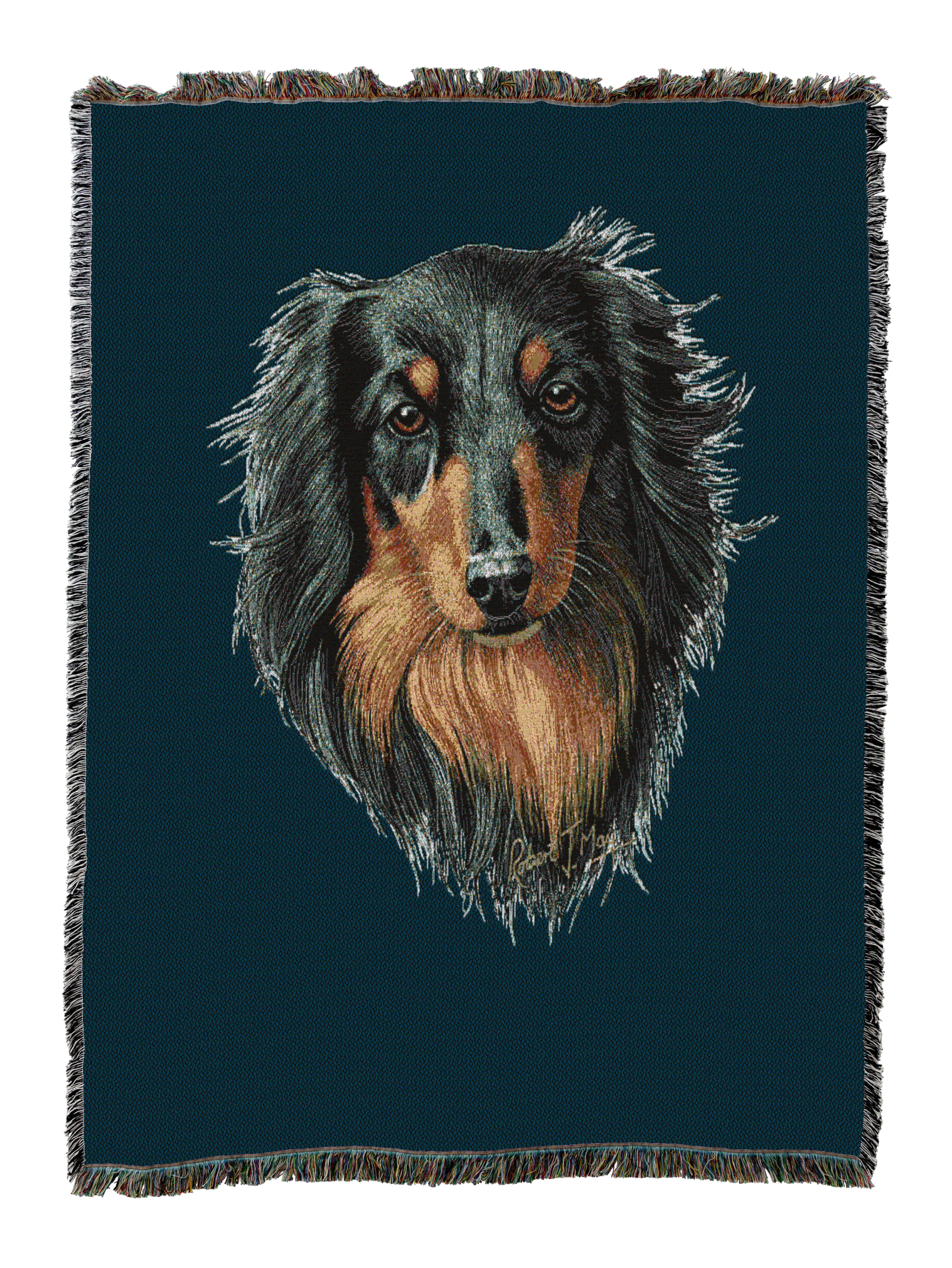 Long-haired Dachshund Black and Tan Blanket Blue
