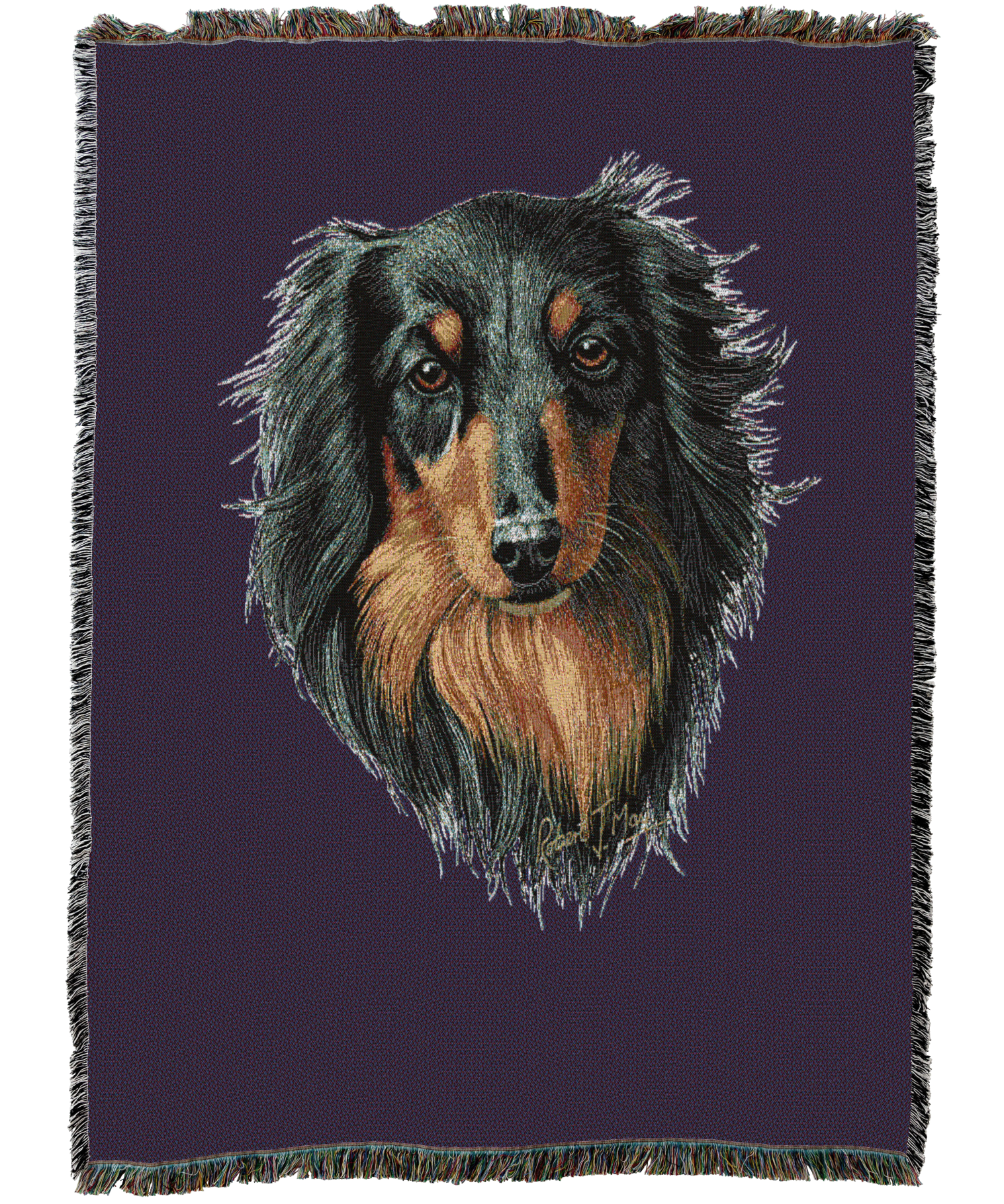 Long-Haired Dachshund Black And Tan Blanket