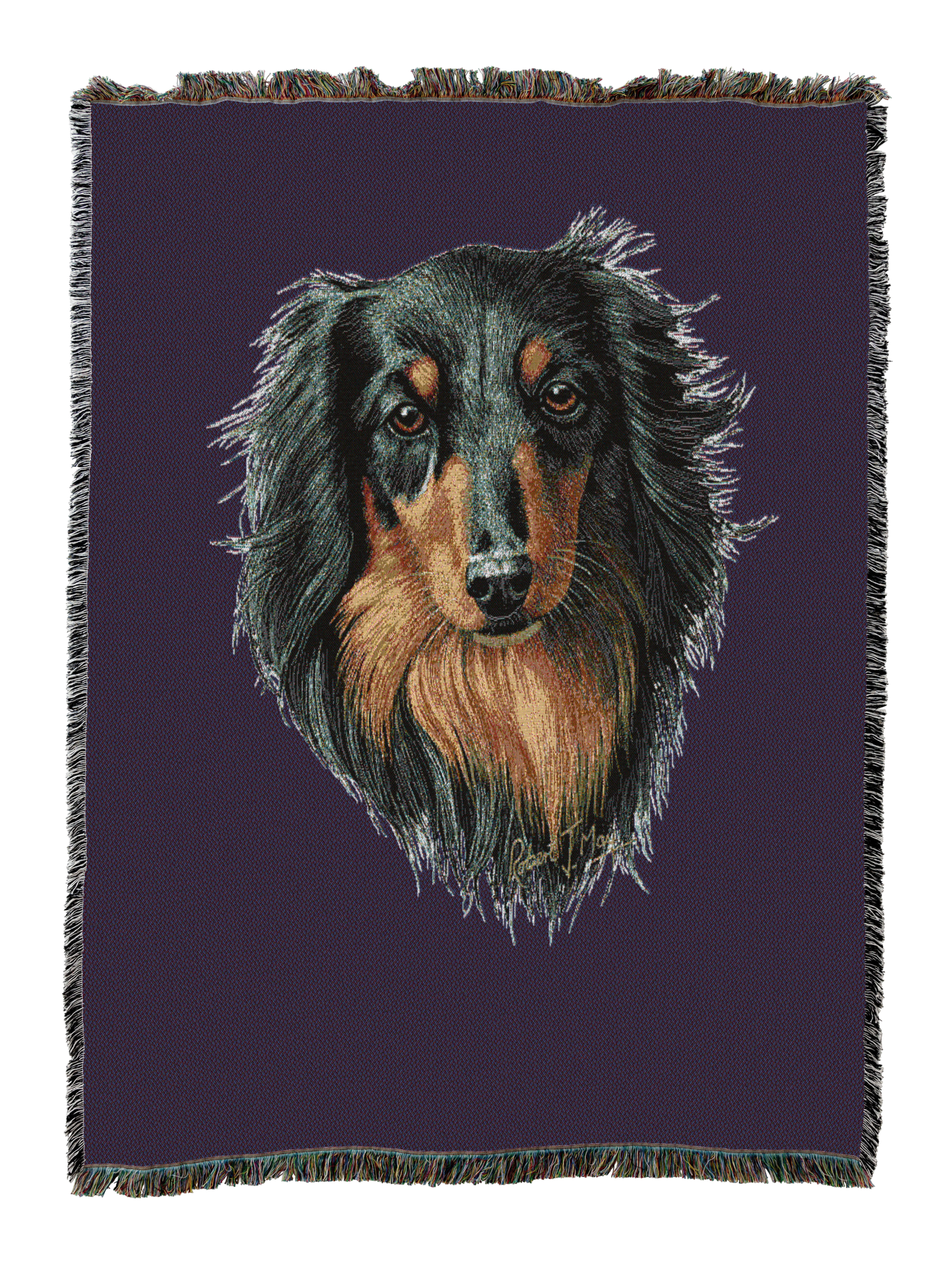 Long-Haired Dachshund Black And Tan Blanket