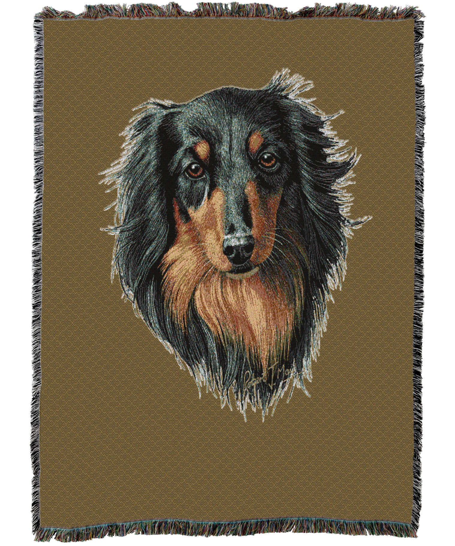 Long-Haired Dachshund Black And Tan Blanket