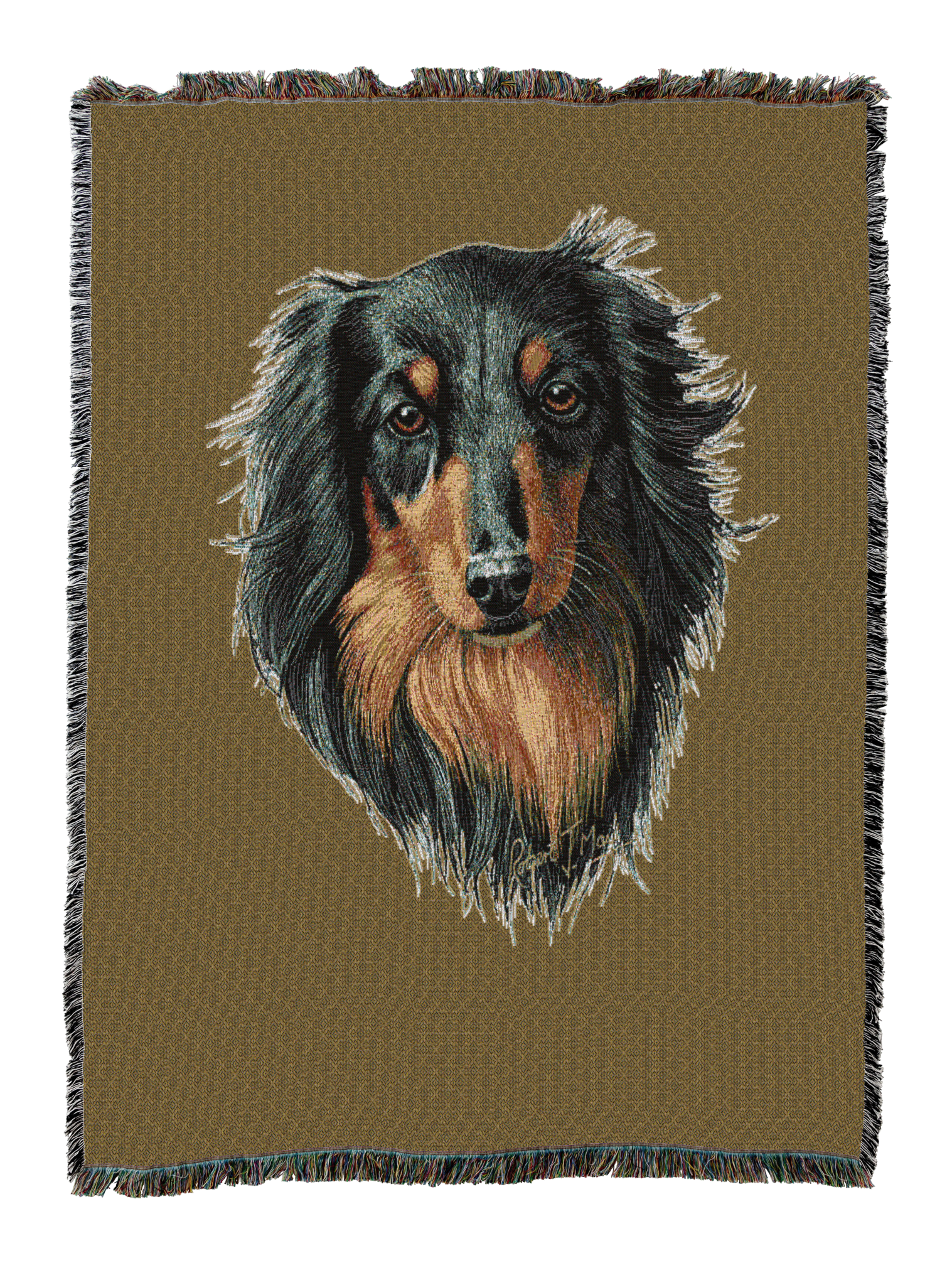 Long-Haired Dachshund Black And Tan Blanket