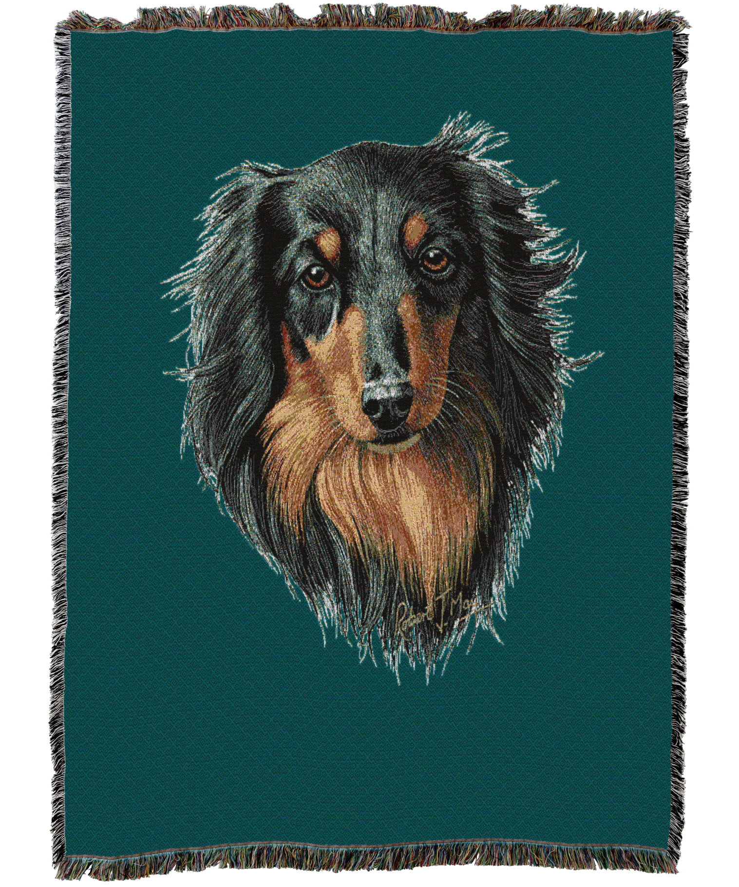 Long-Haired Dachshund Black And Tan Blanket
