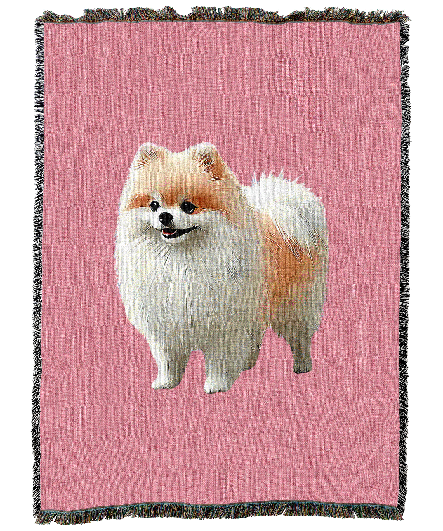 Pomeranian Blanket