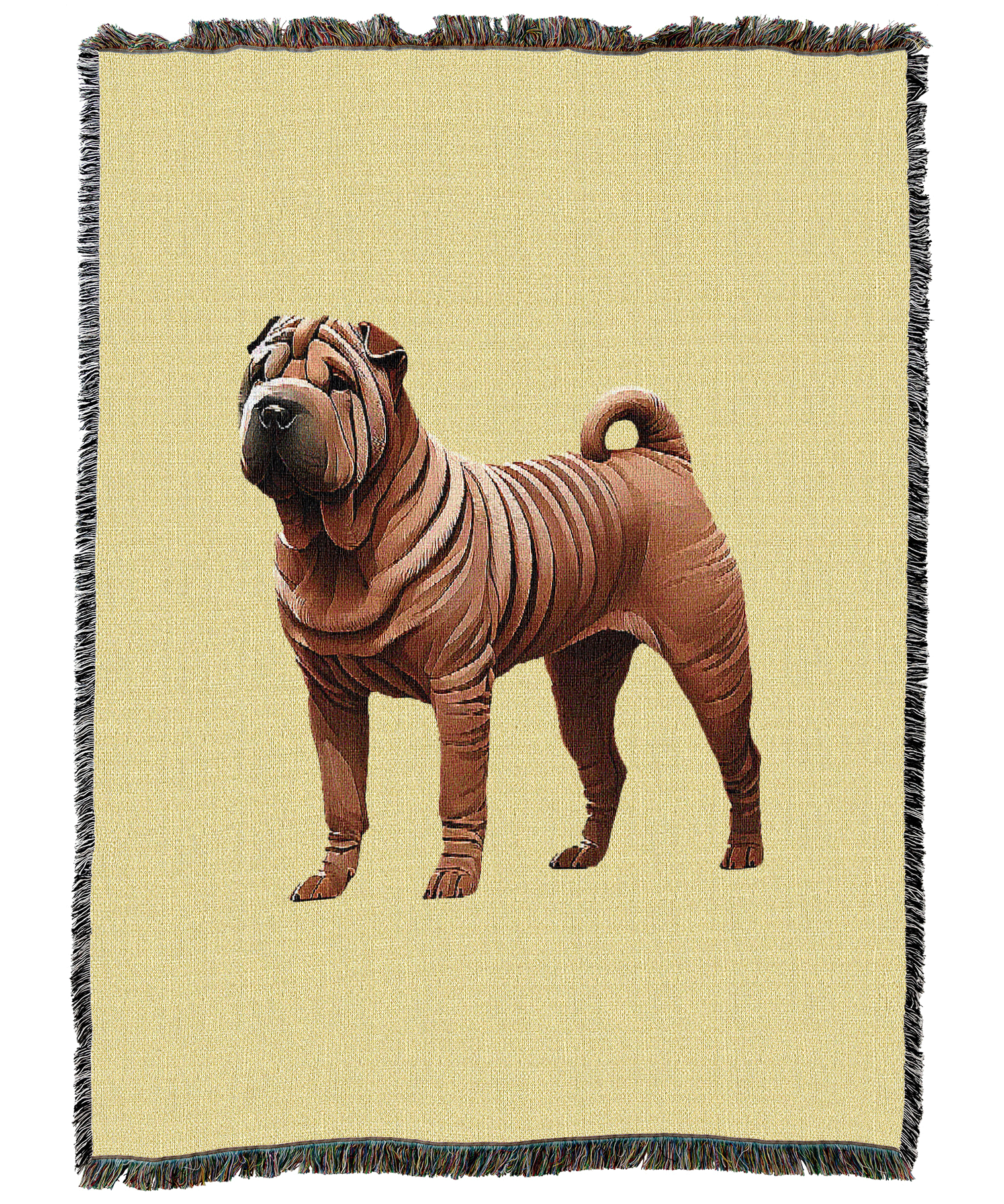 16096-T.png
