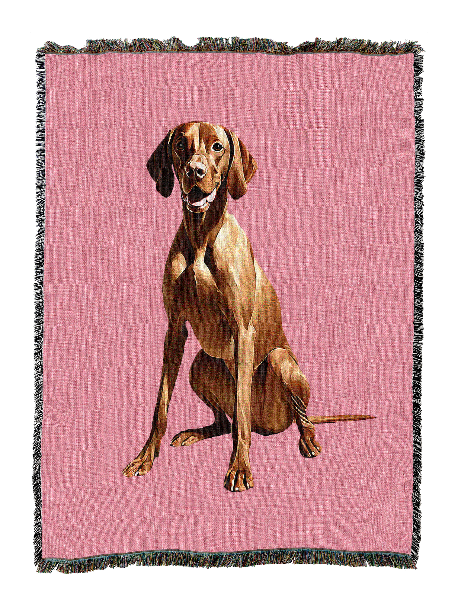 Vizsla Blanket 2