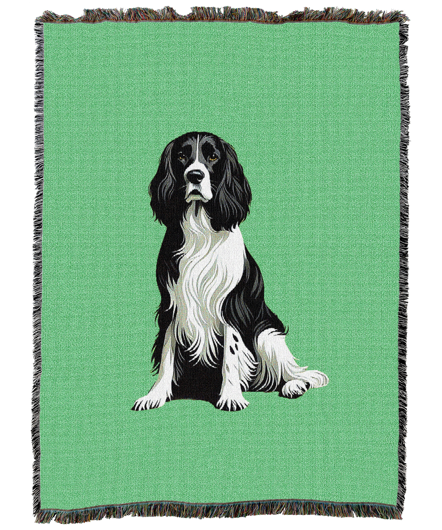 English Springer Blanket