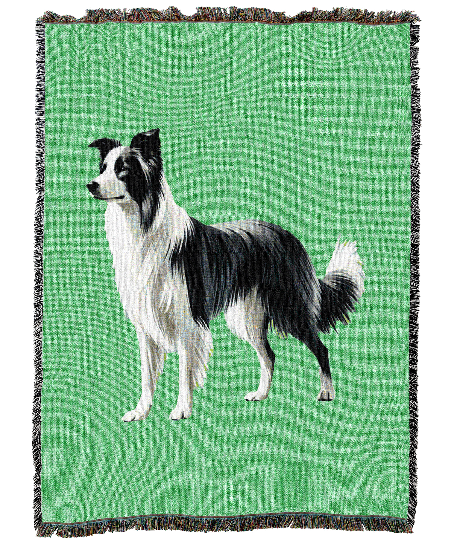 16108-T.png