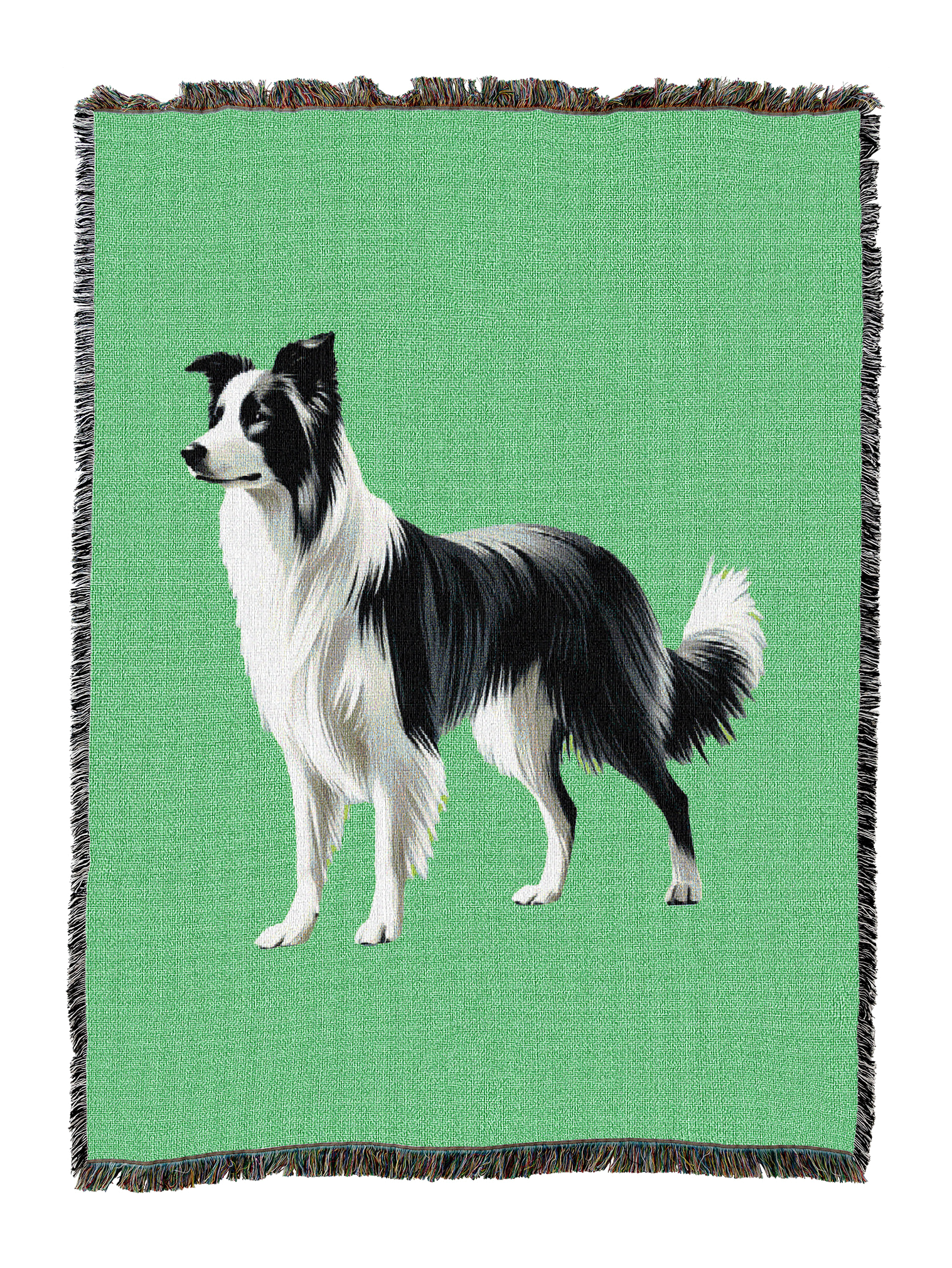 Border Collie Blanket 2