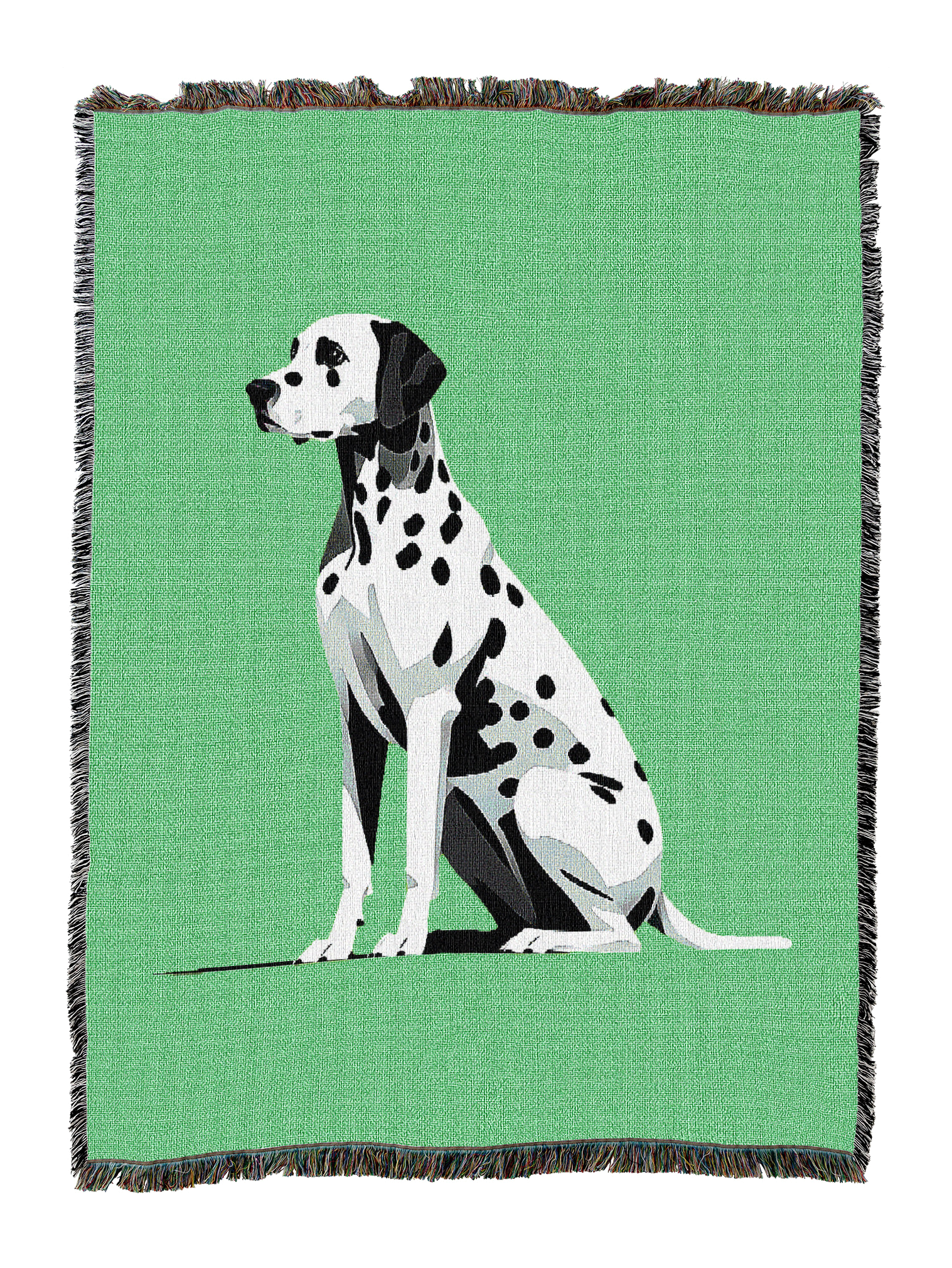Dalmatian Blanket 2