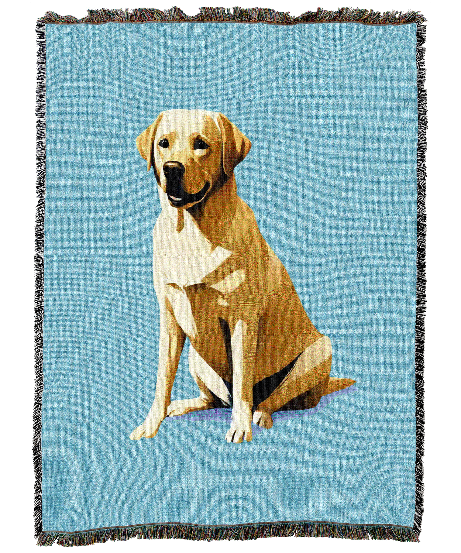 16113-T.png