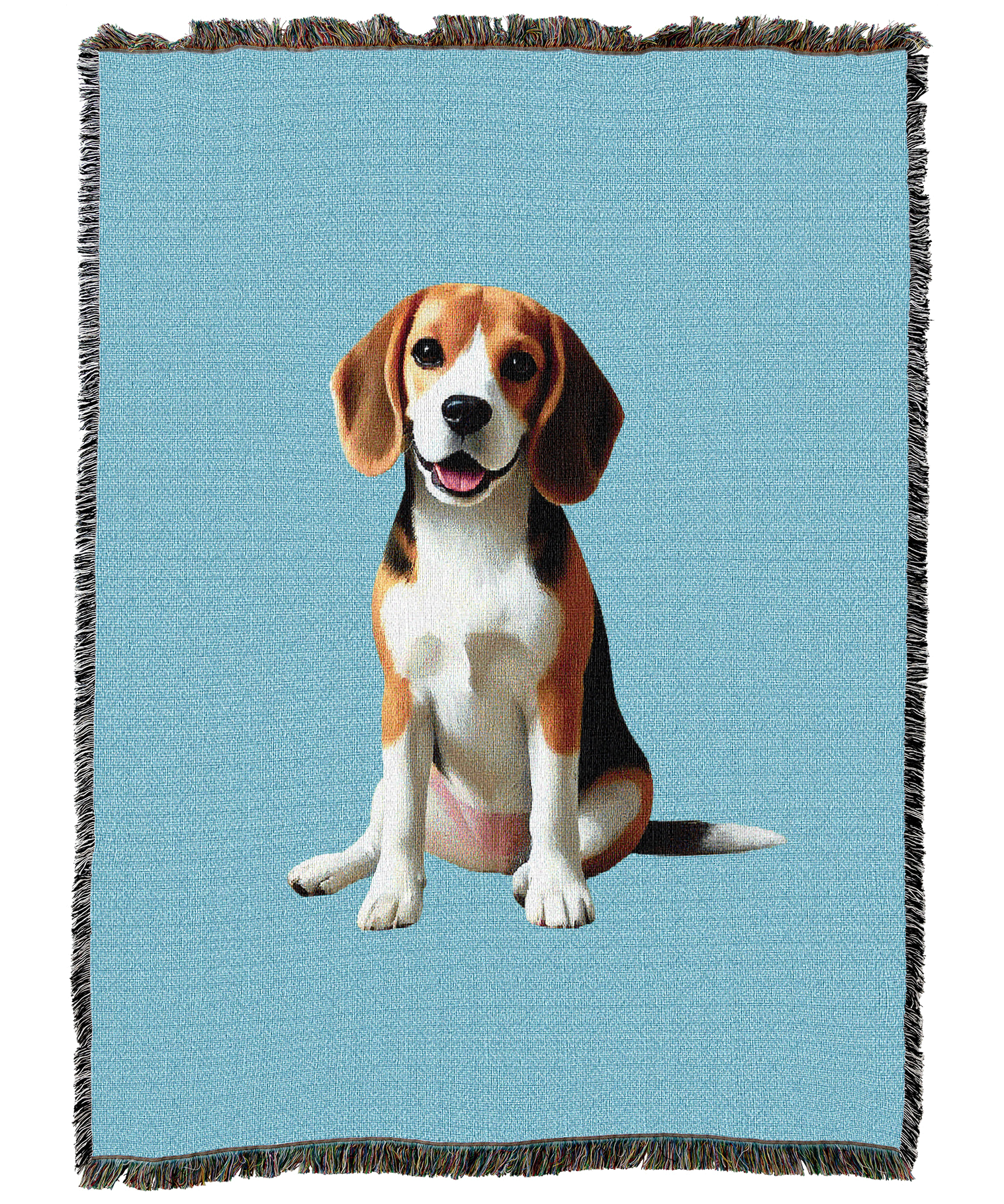 Beagle Blanket