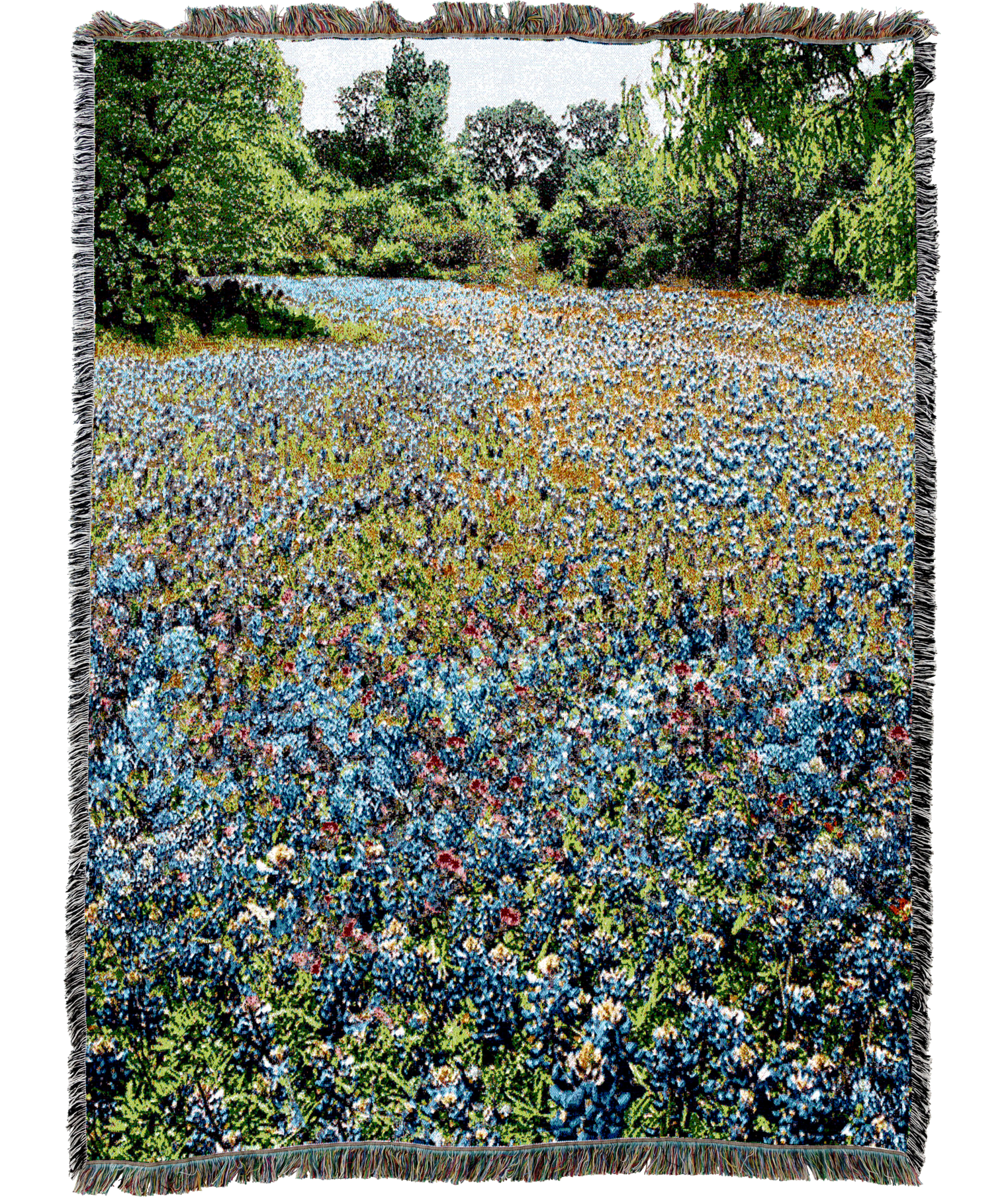 Bluebonnets Blanket