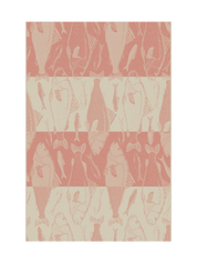 Salmon Stripes Towel