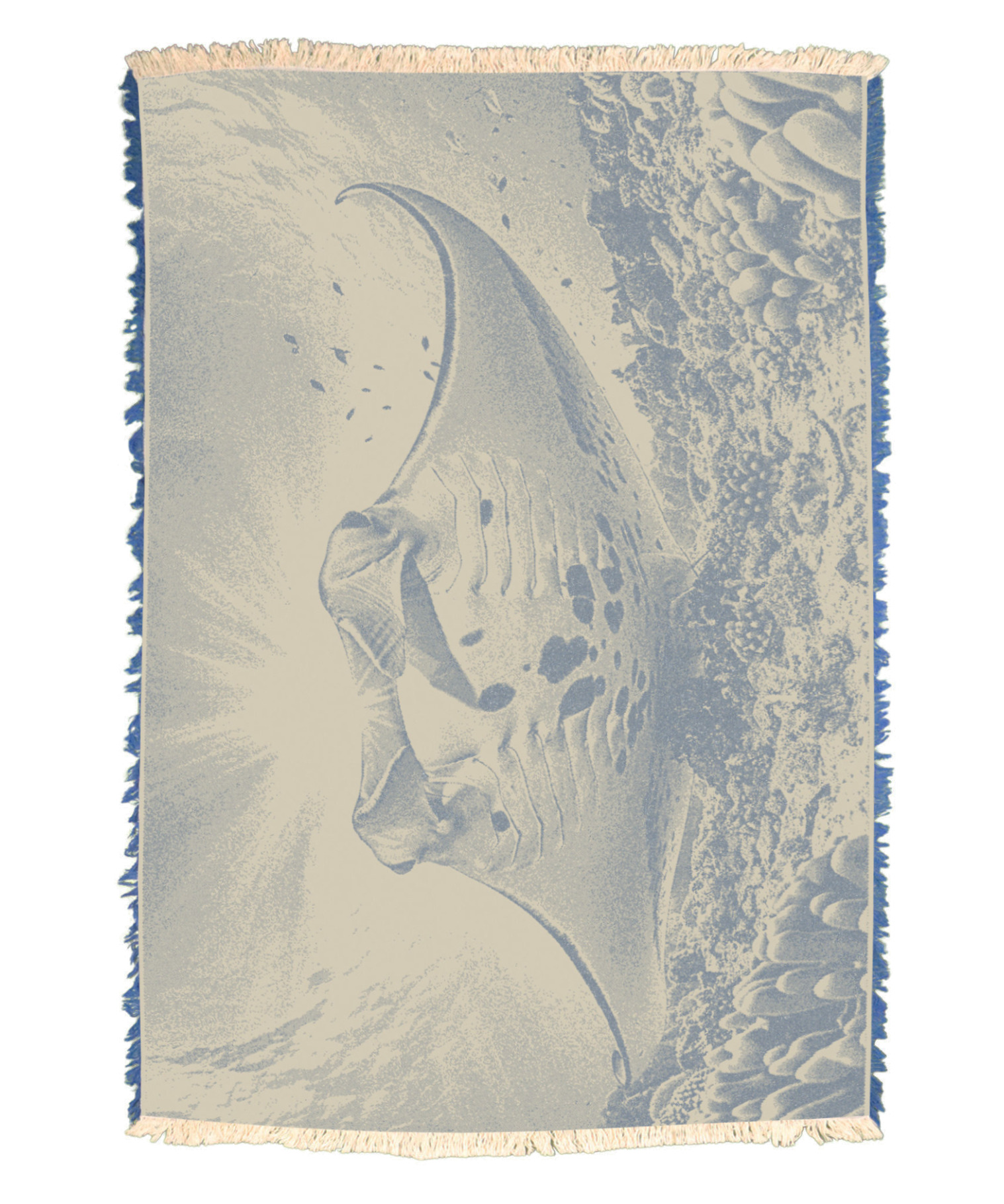 16825-BT4_febdacb3-81b9-4003-9037-9ec523c79724.png