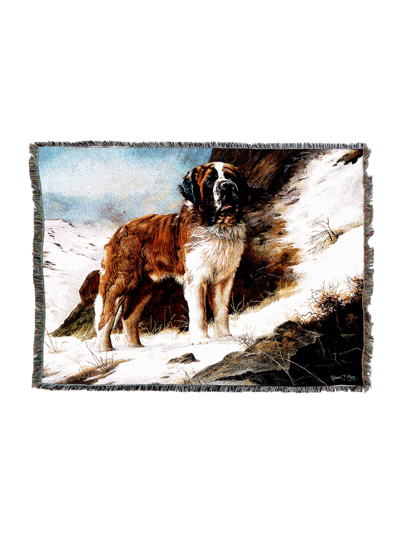 Saint Bernard Blanket A