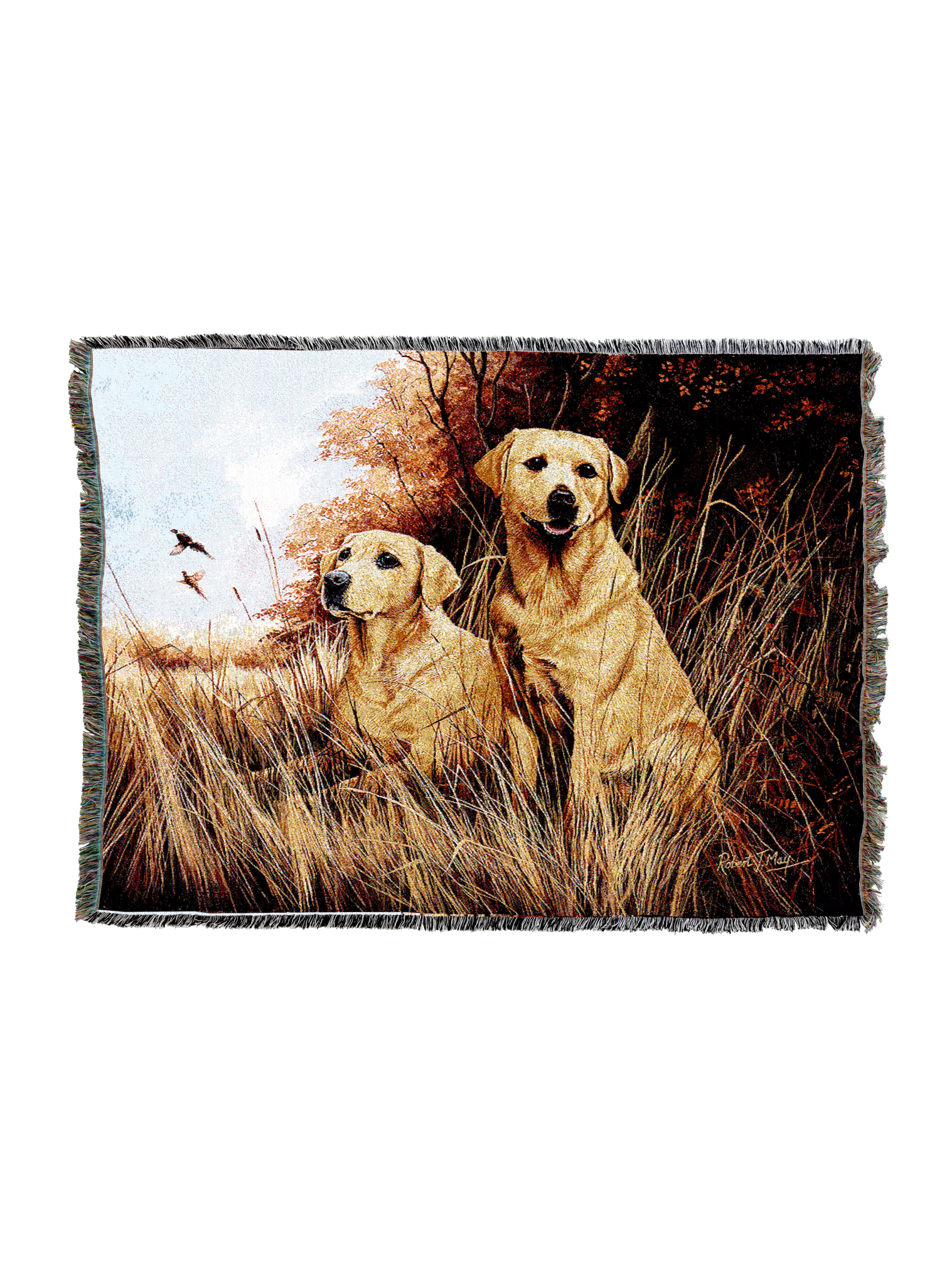 Labrador Retrievers Yellow Blanket
