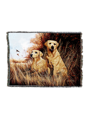 Labrador Retrievers Yellow Blanket