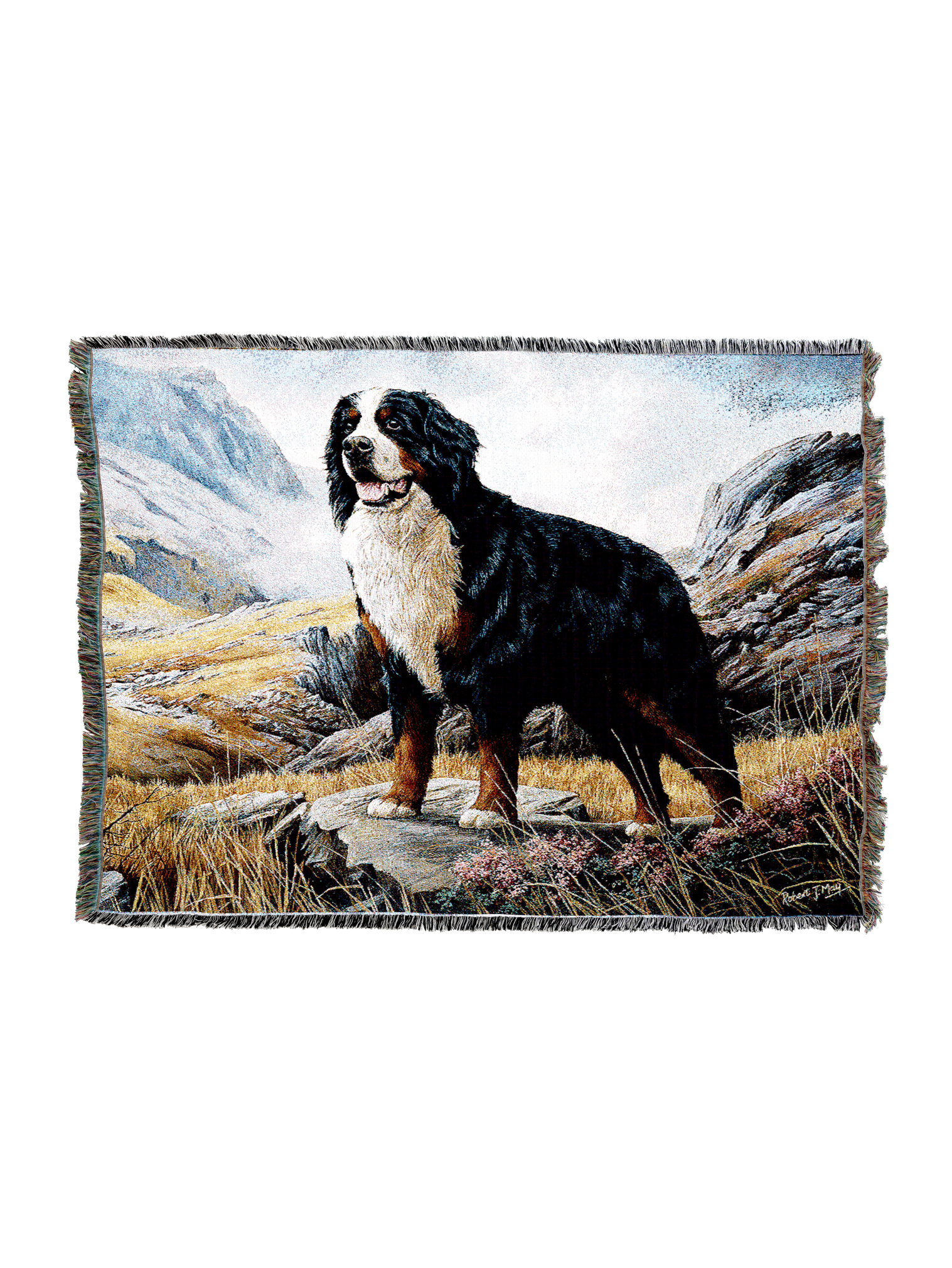 Bernese Mountain Dog Blanket A